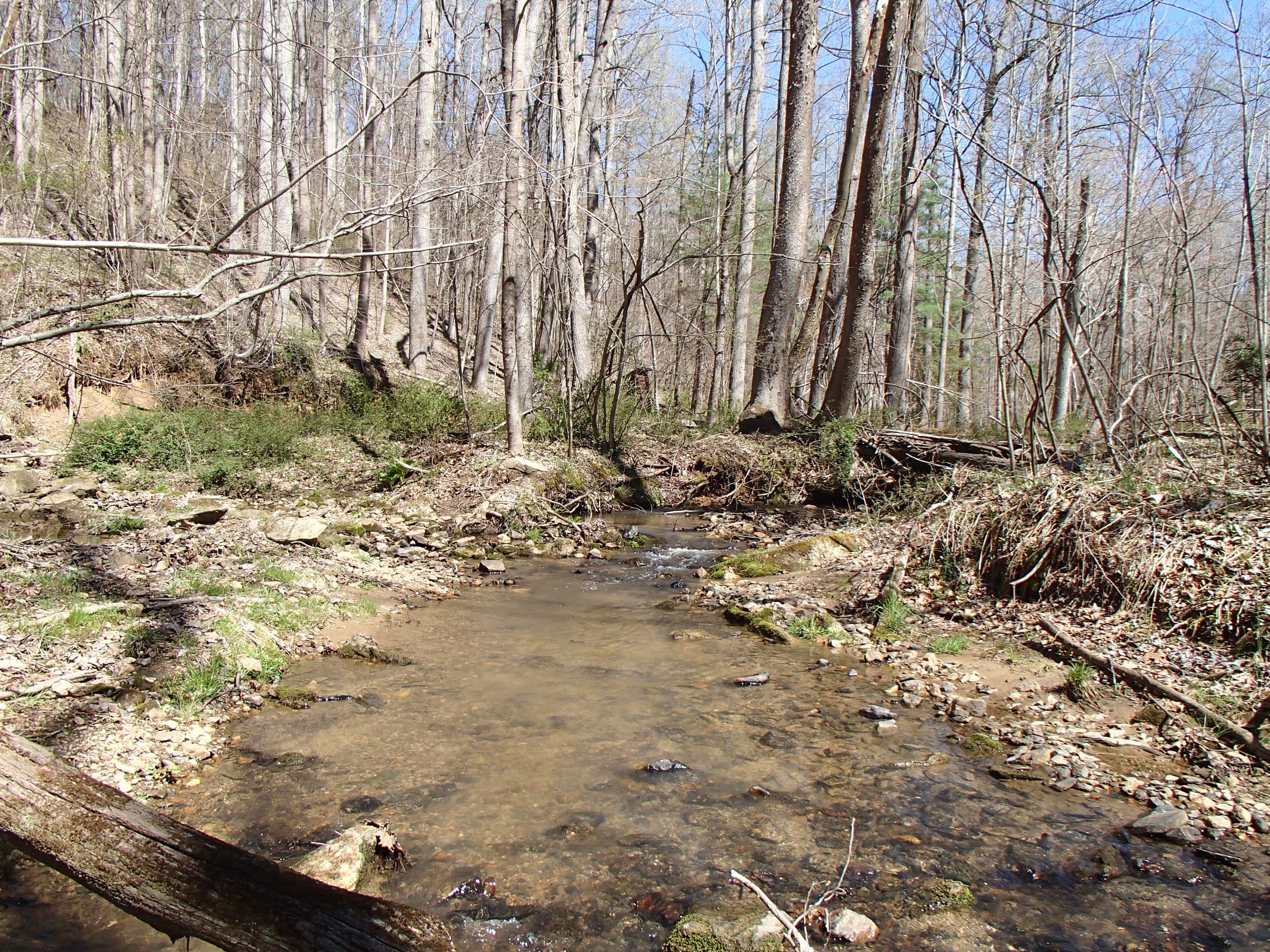 Field photo showing stream conditions at site RKGR-119-S-2014-1