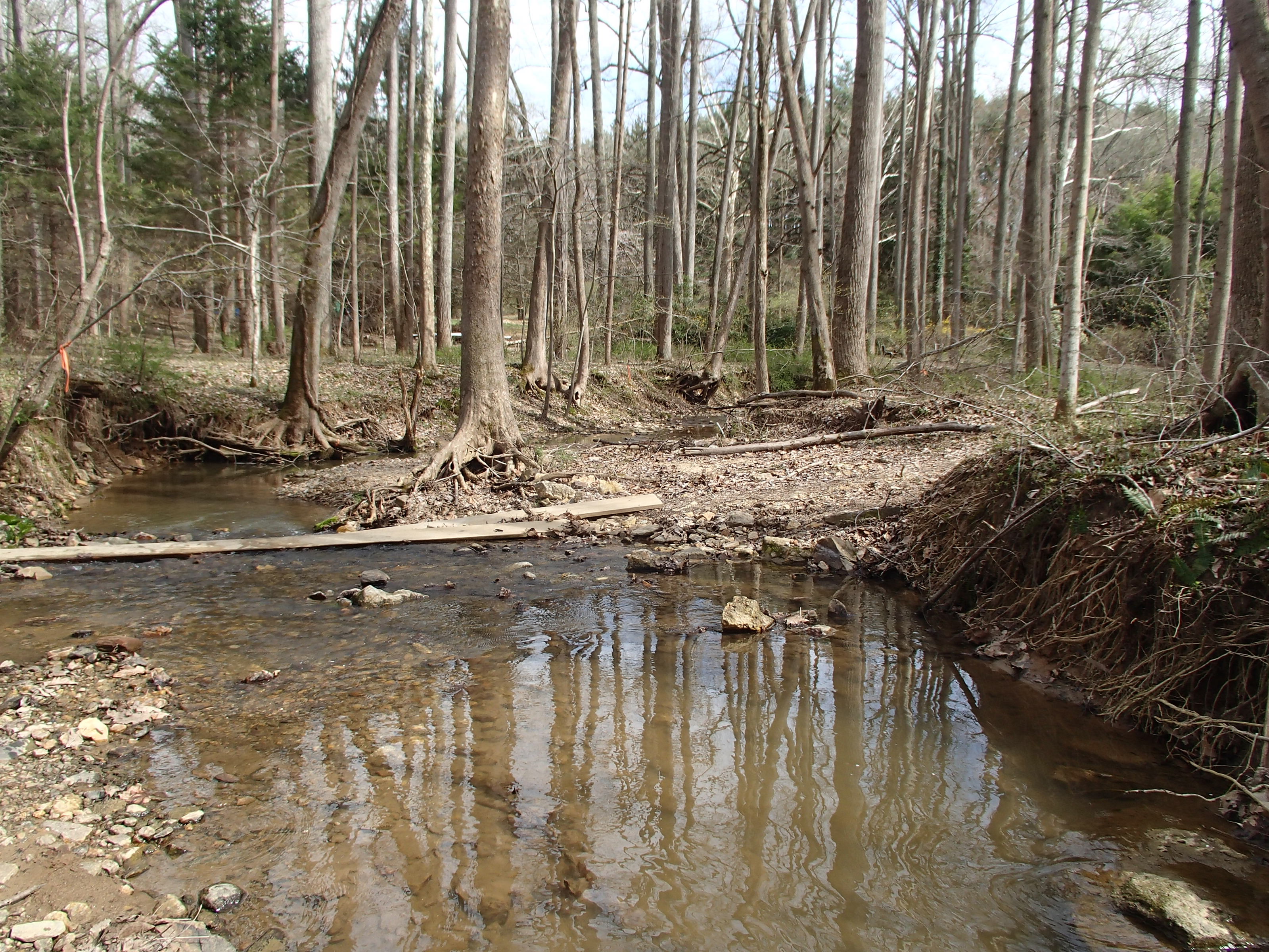 Field photo showing stream conditions at site RKGR-119-S-2015_At-P-midpoint-looking-downstream