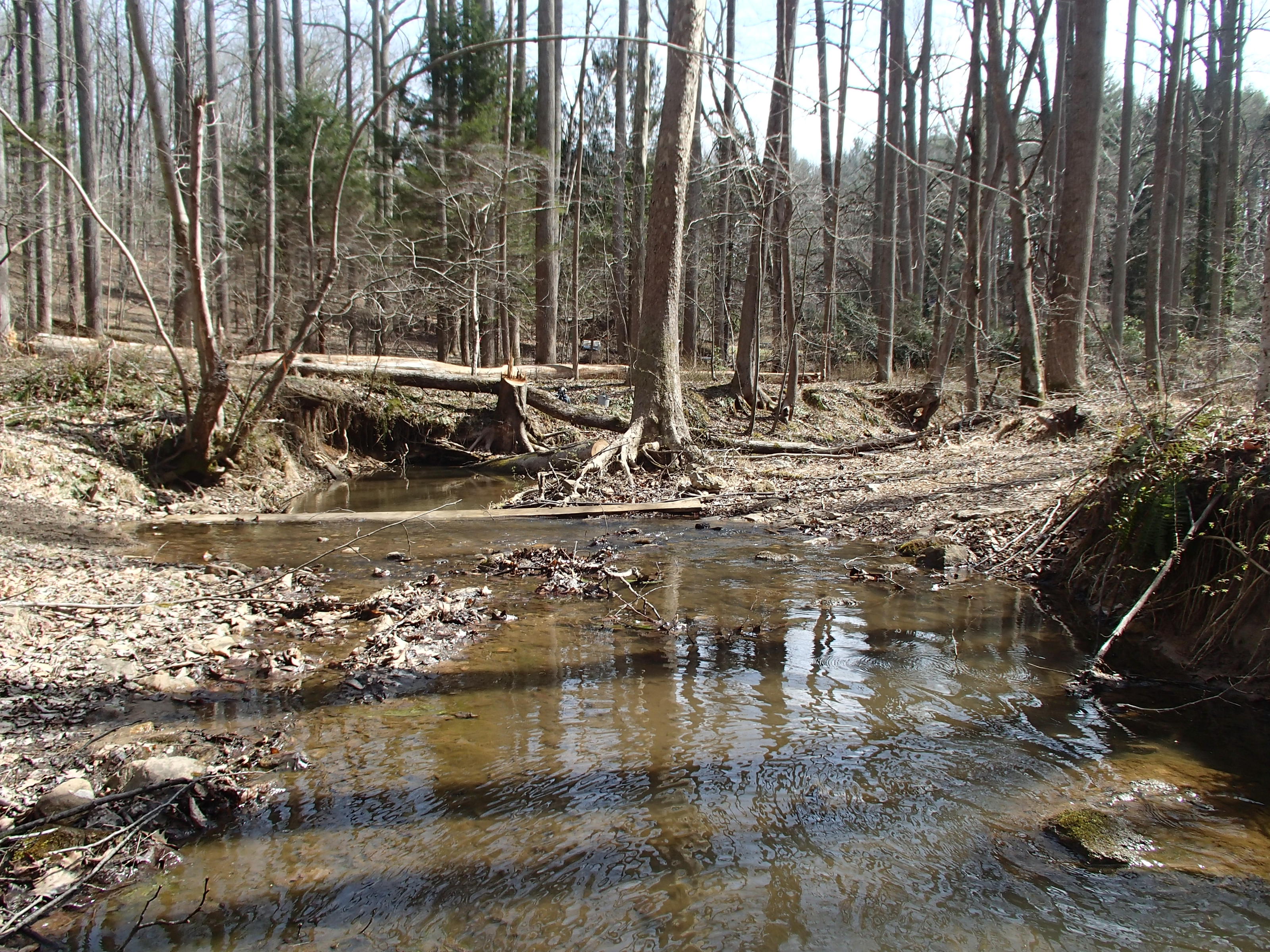 Field photo showing stream conditions at site RKGR-119-S-2017-MidpointAtPLookingDownstream