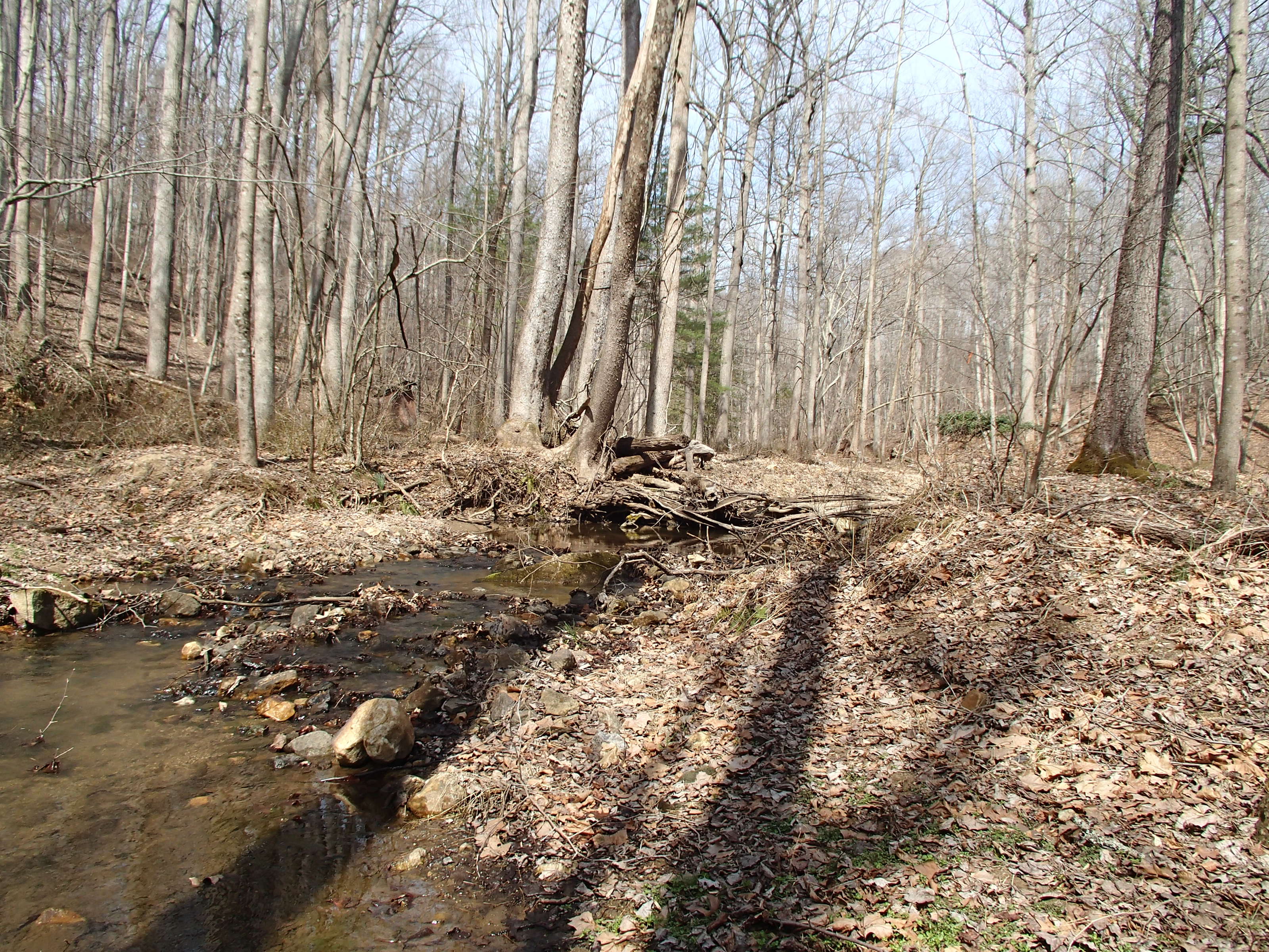 Field photo showing stream conditions at site RKGR-119-S-2017-MidpointAtPLookingUpstream