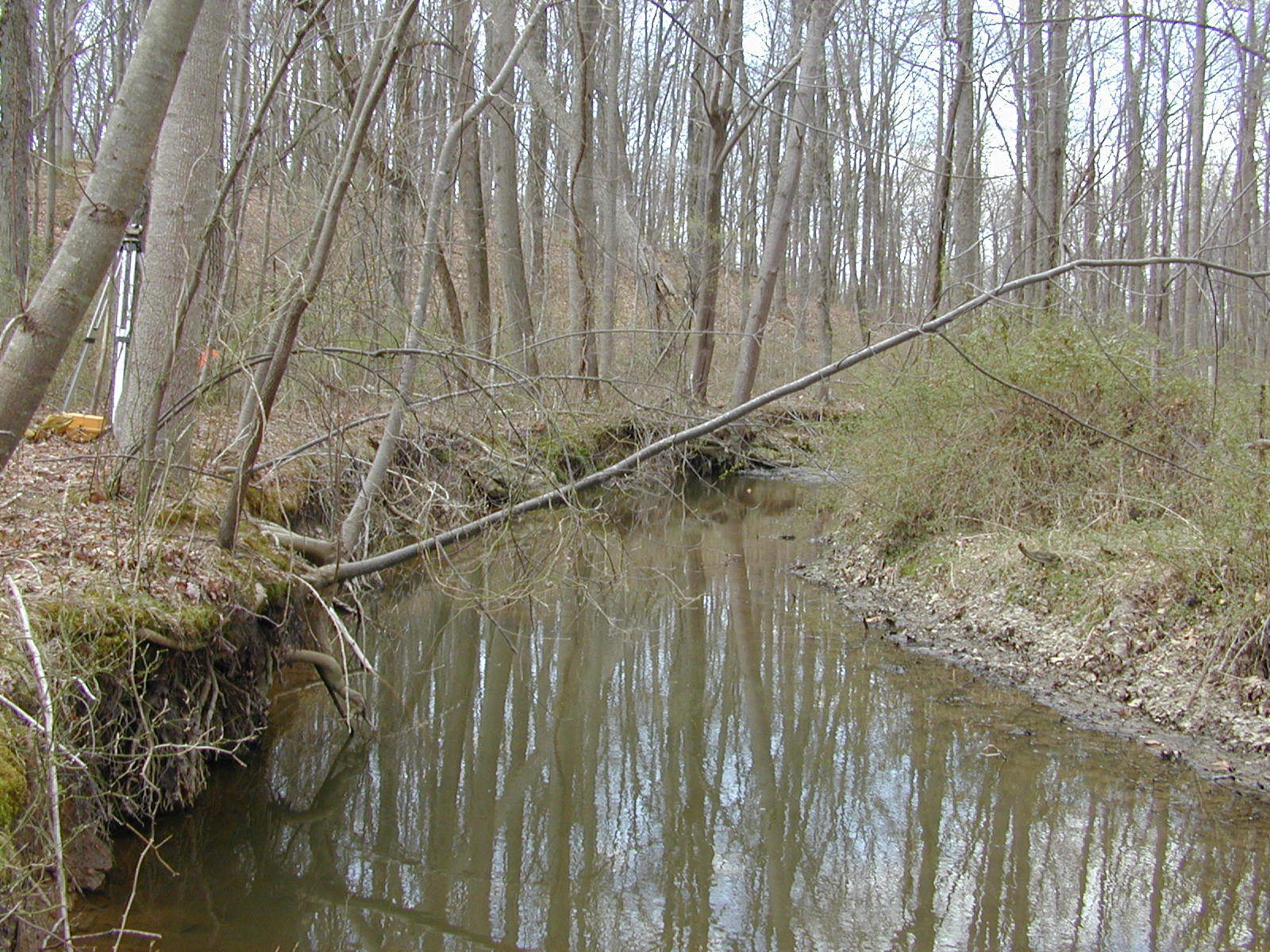 Field photo showing stream conditions at site RKGR-208-R-2002-1