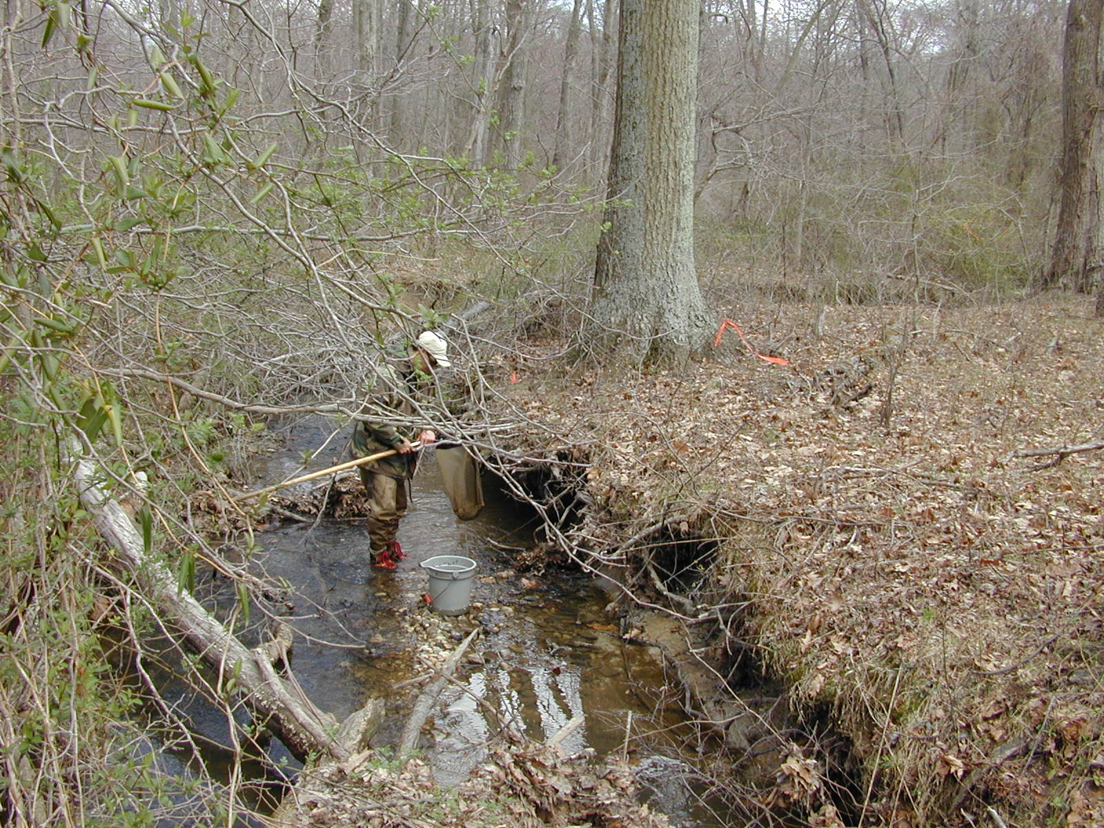 Field photo showing stream conditions at site RKGR-208-R-2002-2