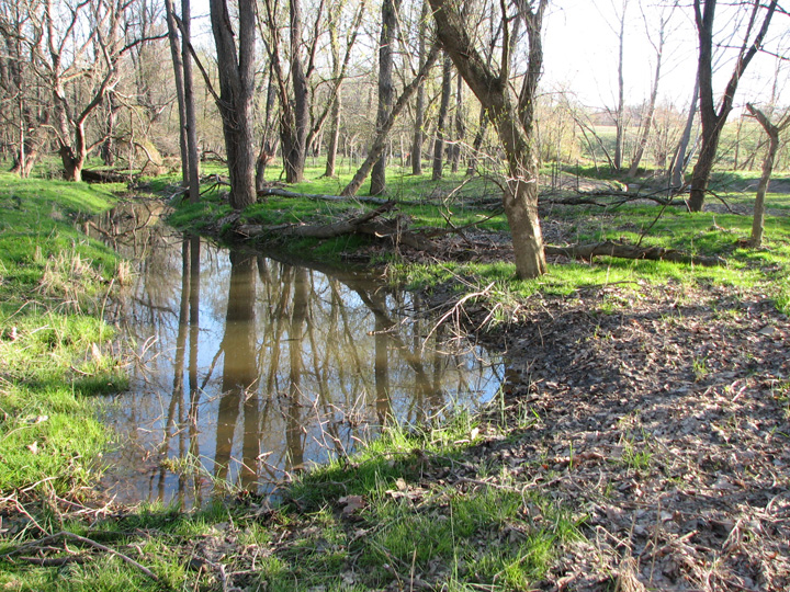 Field photo showing stream conditions at site RKGR-255-T-2007-2