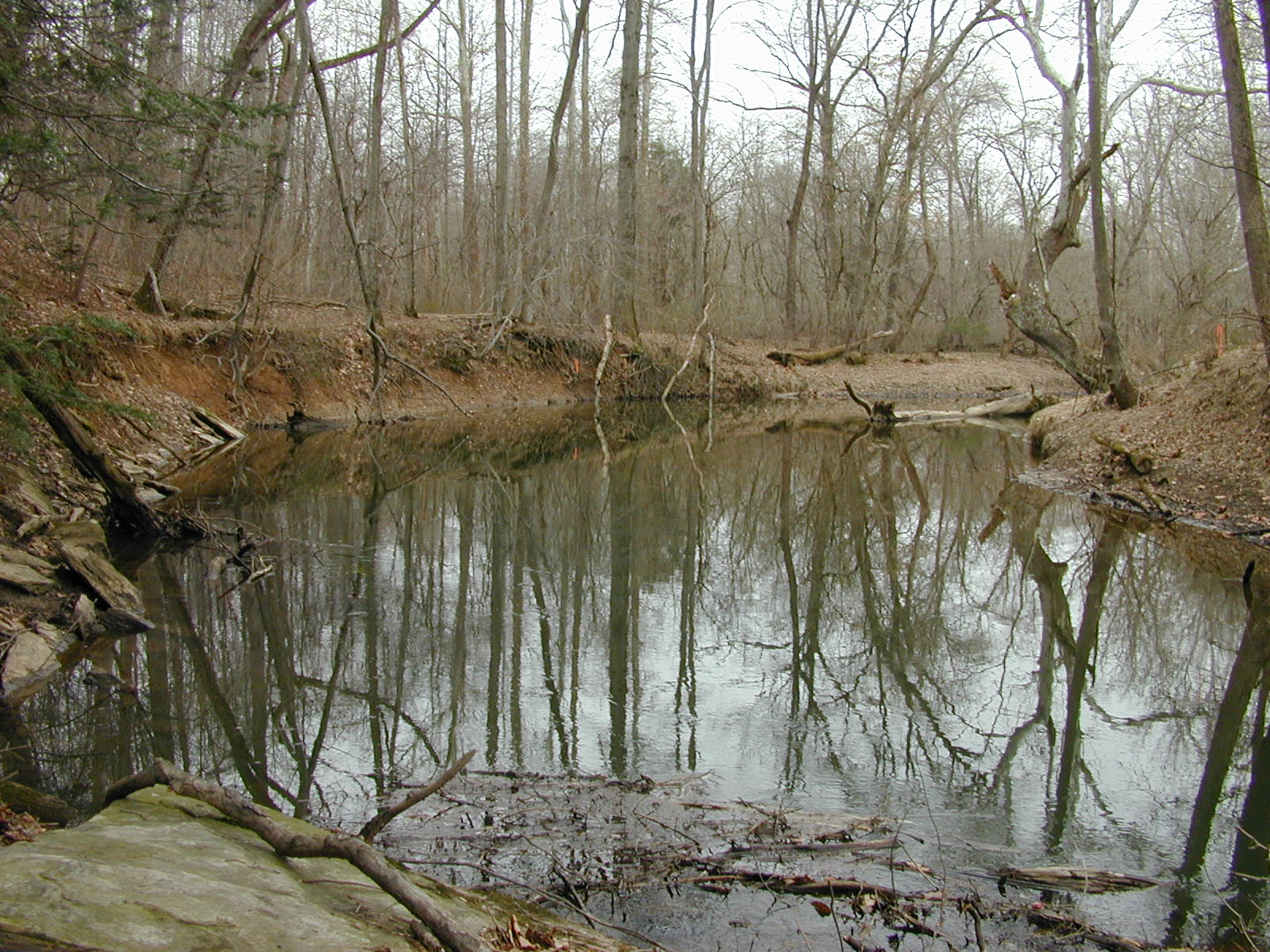 Field photo showing stream conditions at site RKGR-403-R-2002-2