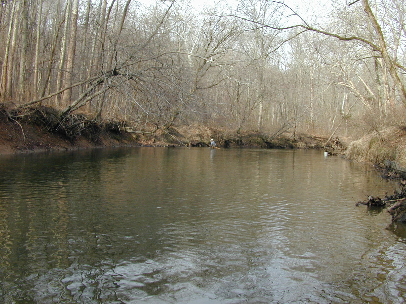 Field photo showing stream conditions at site RKGR-405-R-2002-1
