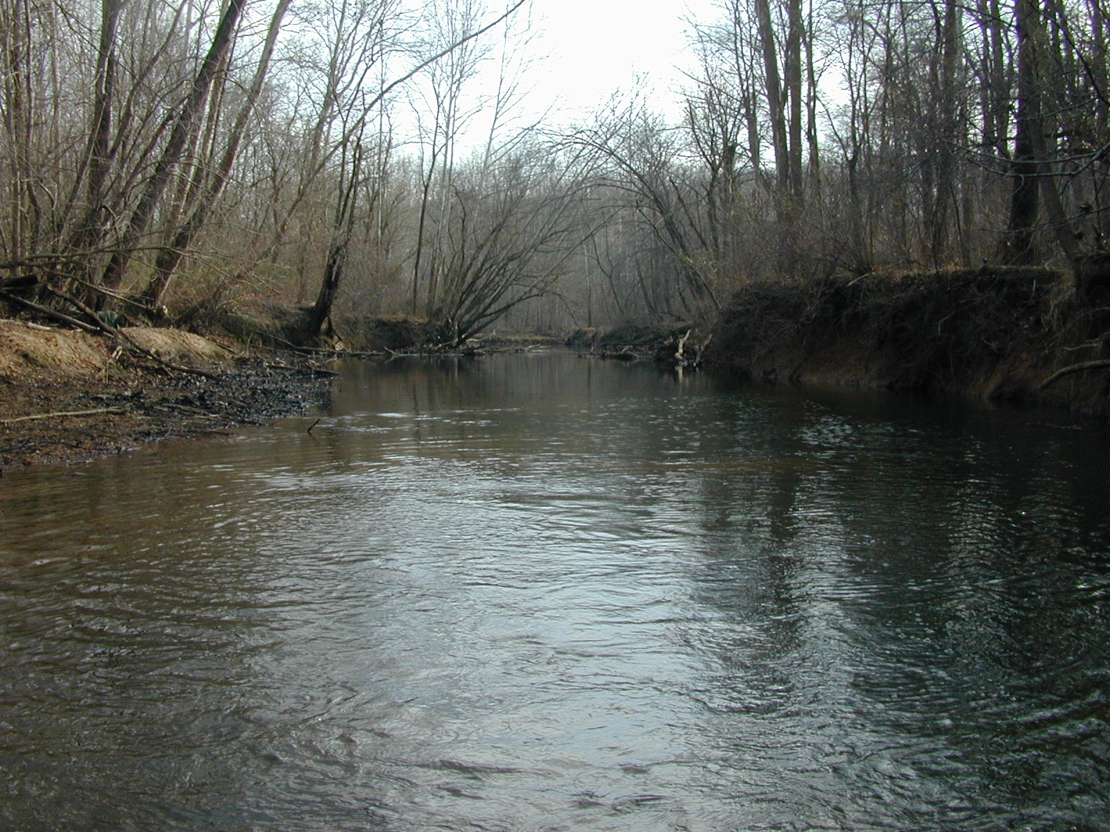 Field photo showing stream conditions at site RKGR-405-R-2002-2