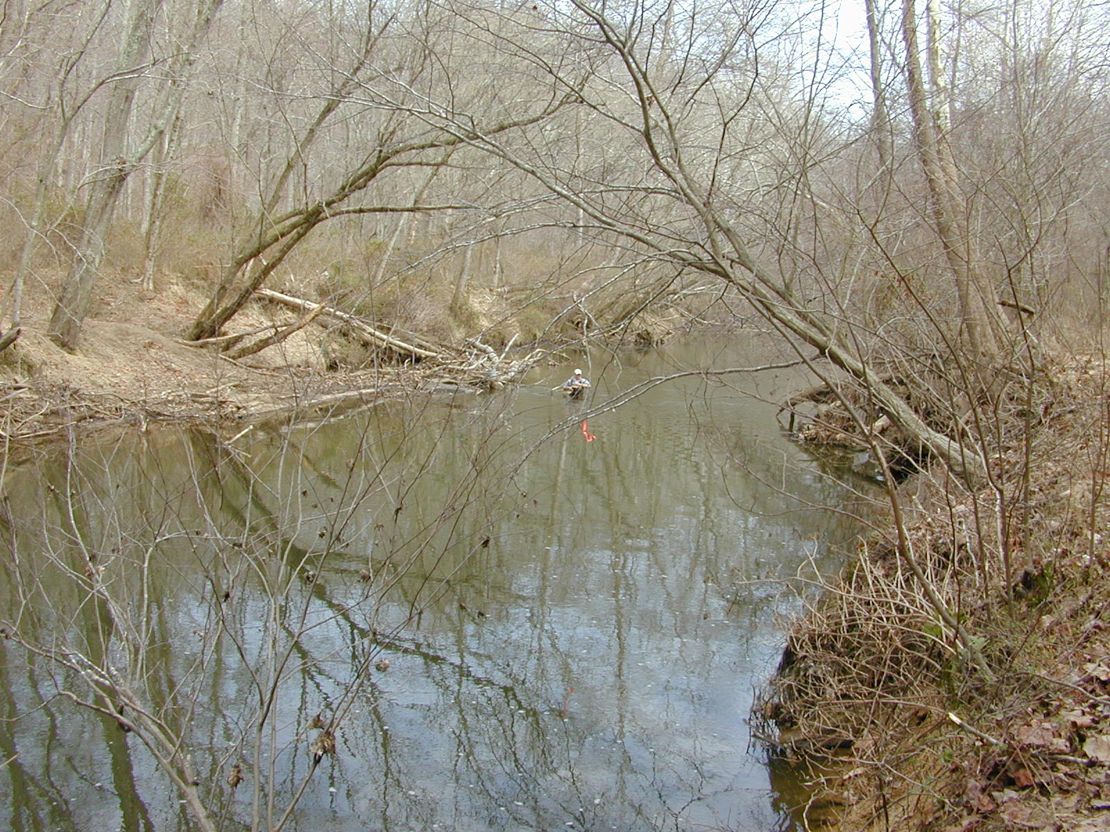 Field photo showing stream conditions at site RKGR-409-R-2002-1