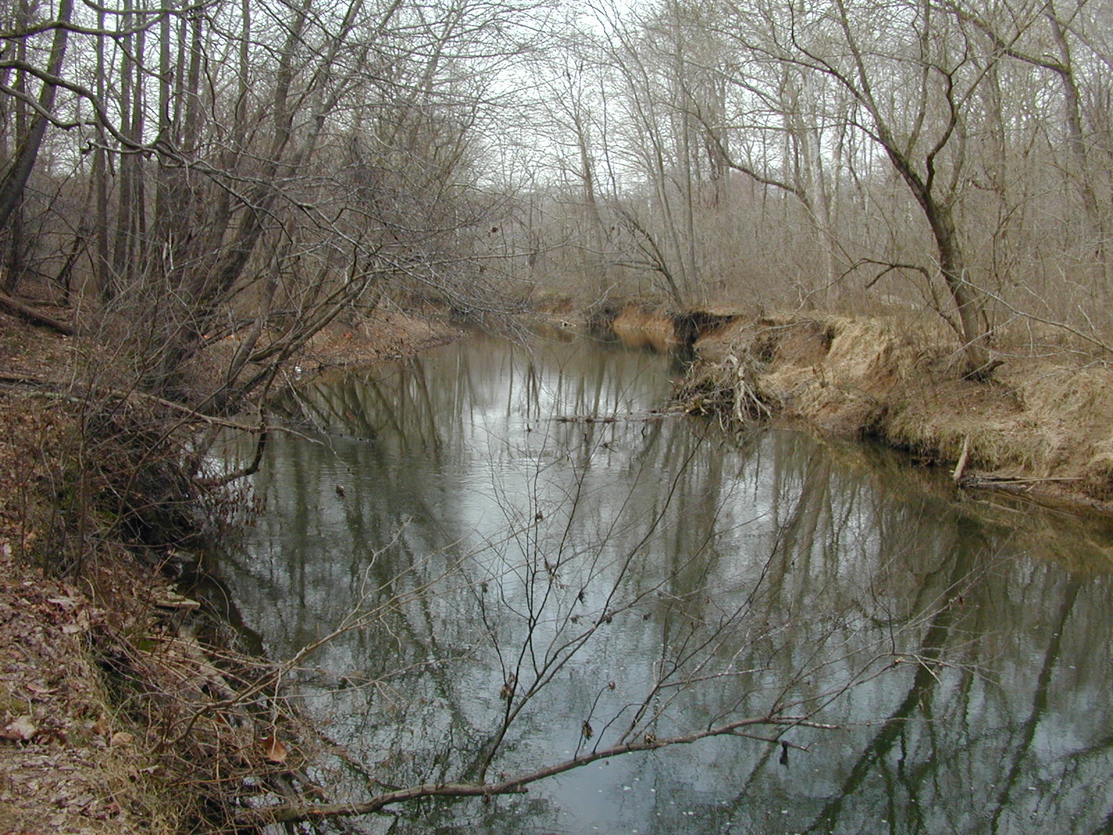 Field photo showing stream conditions at site RKGR-409-R-2002-2