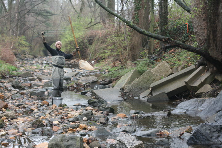 Field photo showing stream conditions at site ROCK-101-R-2009-1