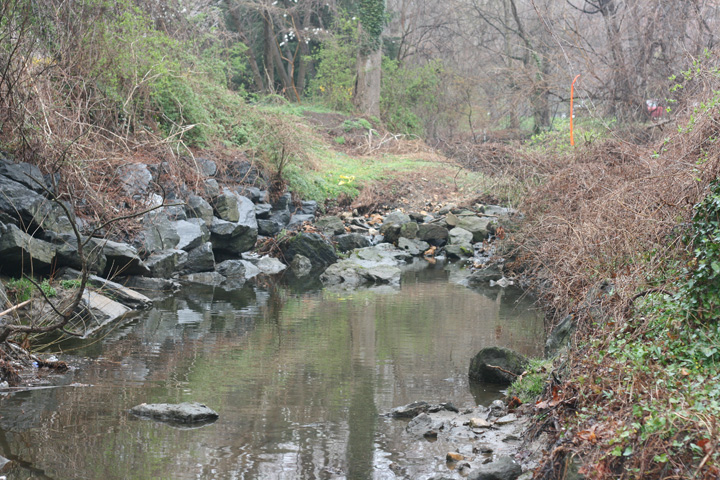 Field photo showing stream conditions at site ROCK-101-R-2009-2