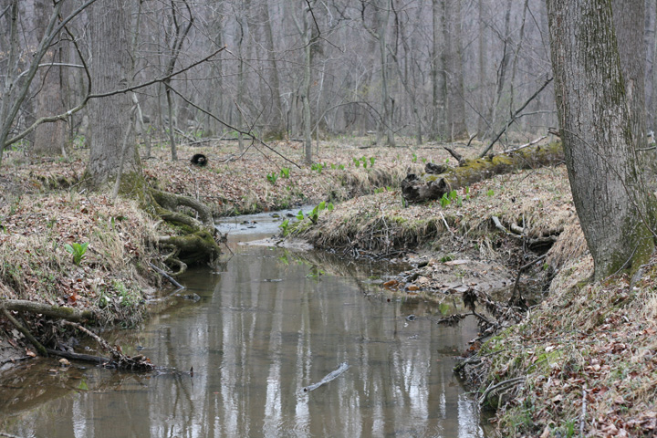 Field photo showing stream conditions at site ROCK-102-R-2009-2