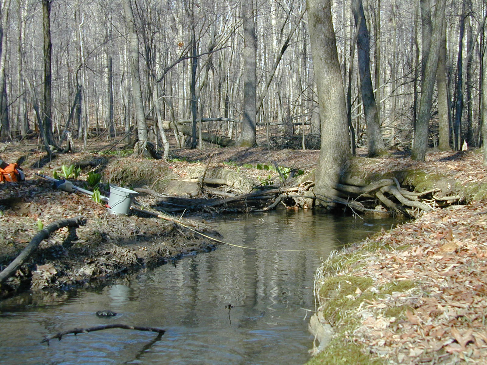 Field photo showing stream conditions at site ROCK-105-R-2003-759
