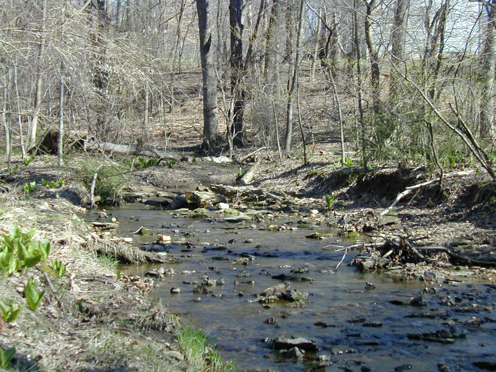 Field photo showing stream conditions at site ROCK-106-R-2003-757