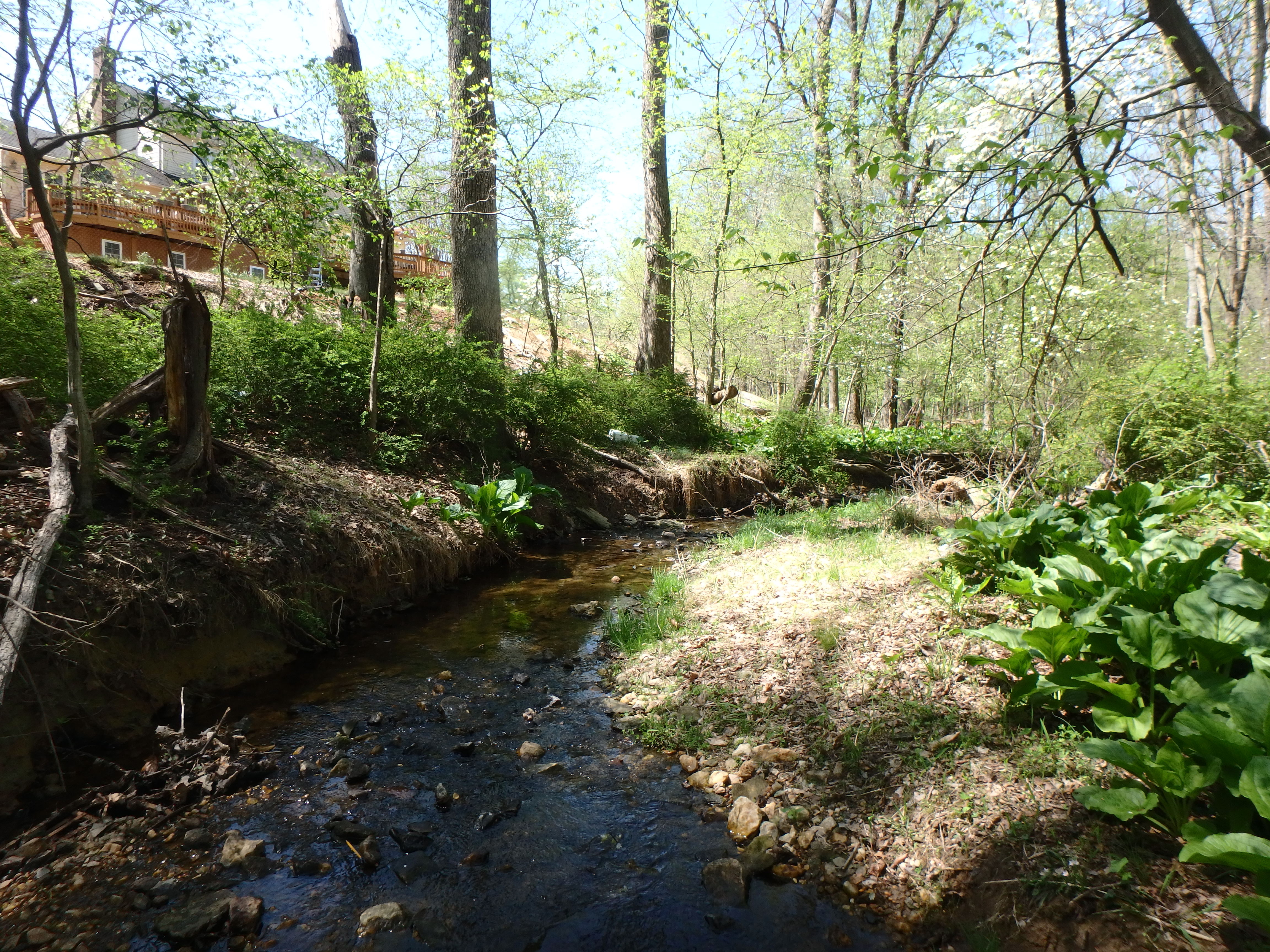 Field photo showing stream conditions at site ROCK-106-R-2017-MidpointLookingDownstream