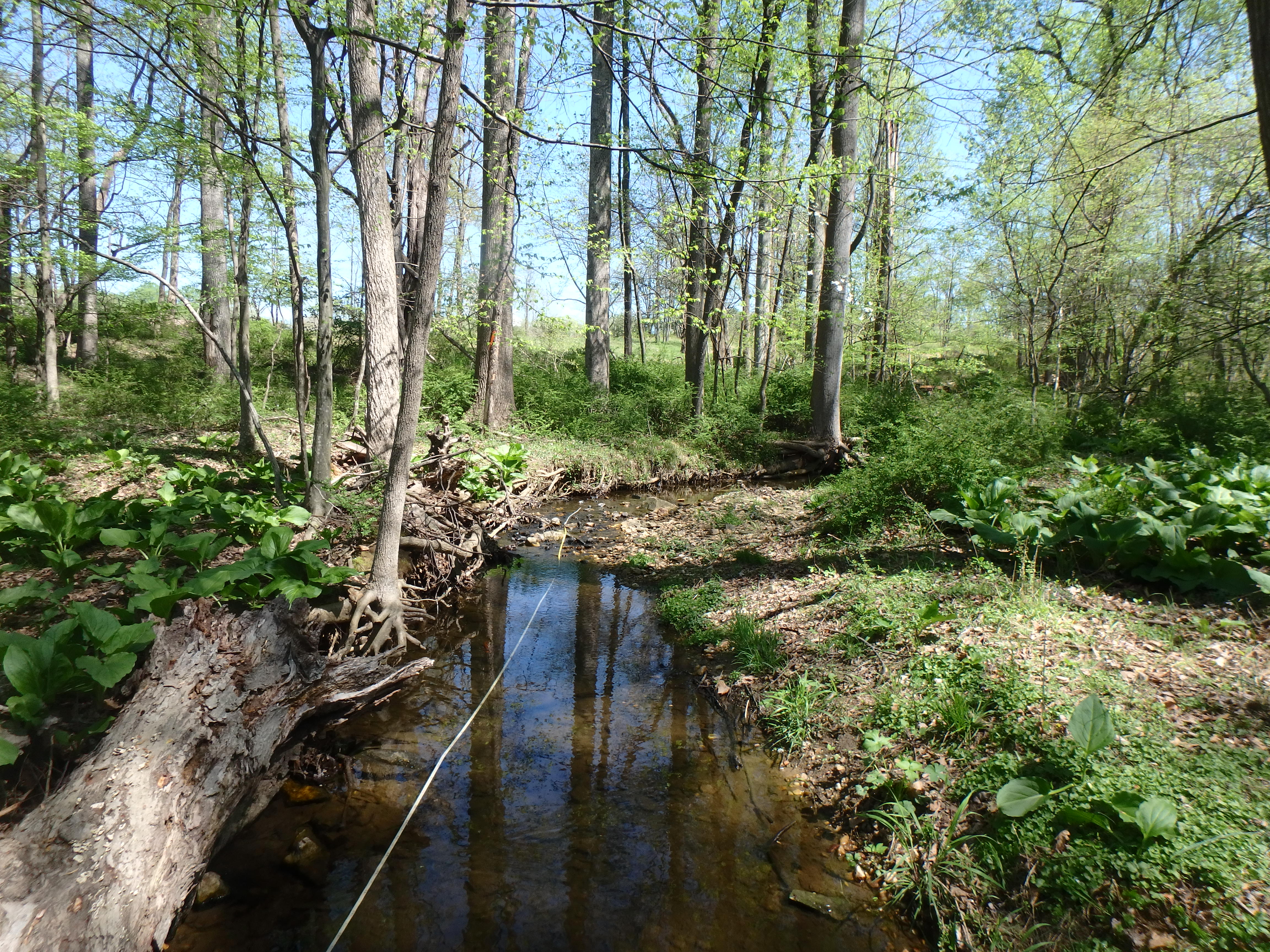Field photo showing stream conditions at site ROCK-106-R-2017-MidpointLookingUpstream