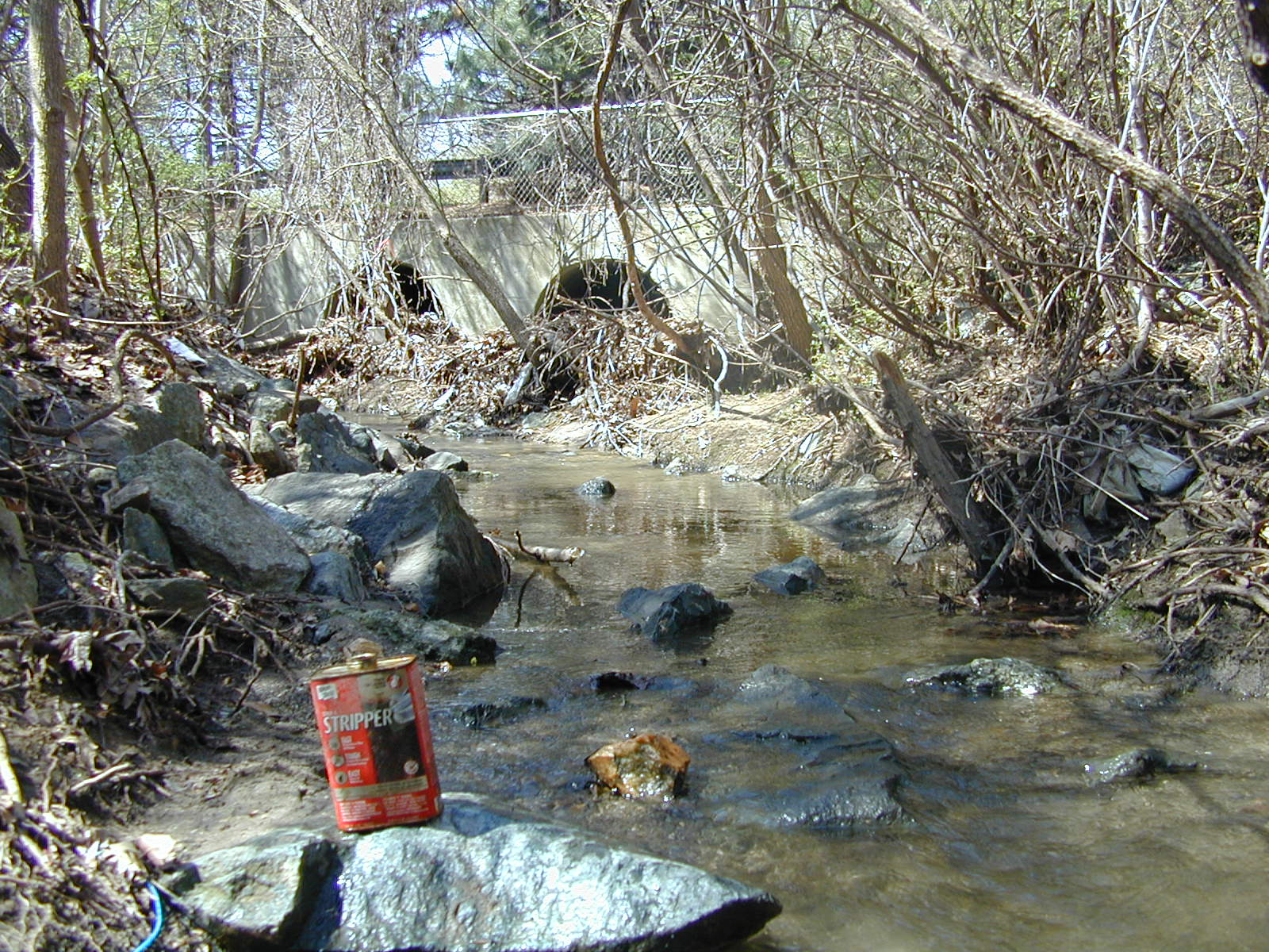 Field photo showing stream conditions at site ROCK-107-R-2003-770