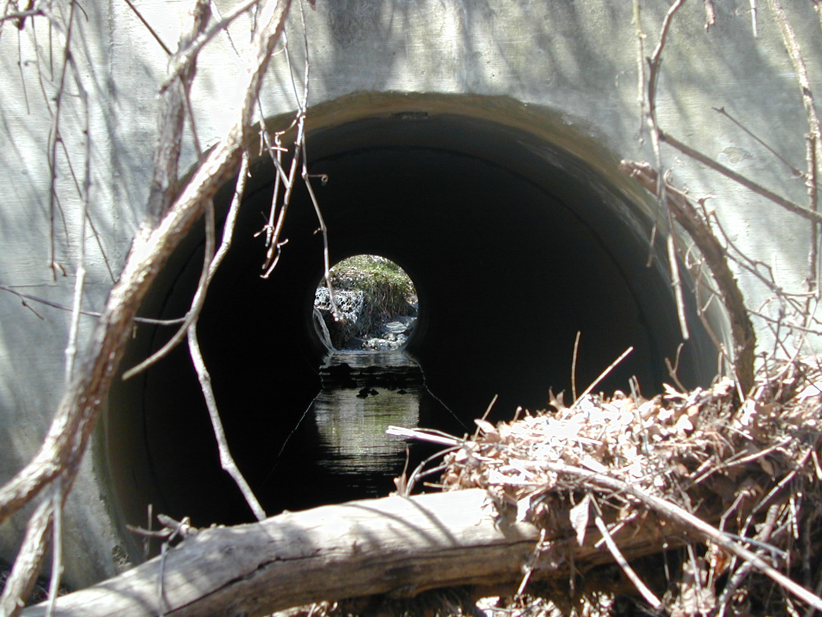 Field photo showing stream conditions at site ROCK-107-R-2003-771