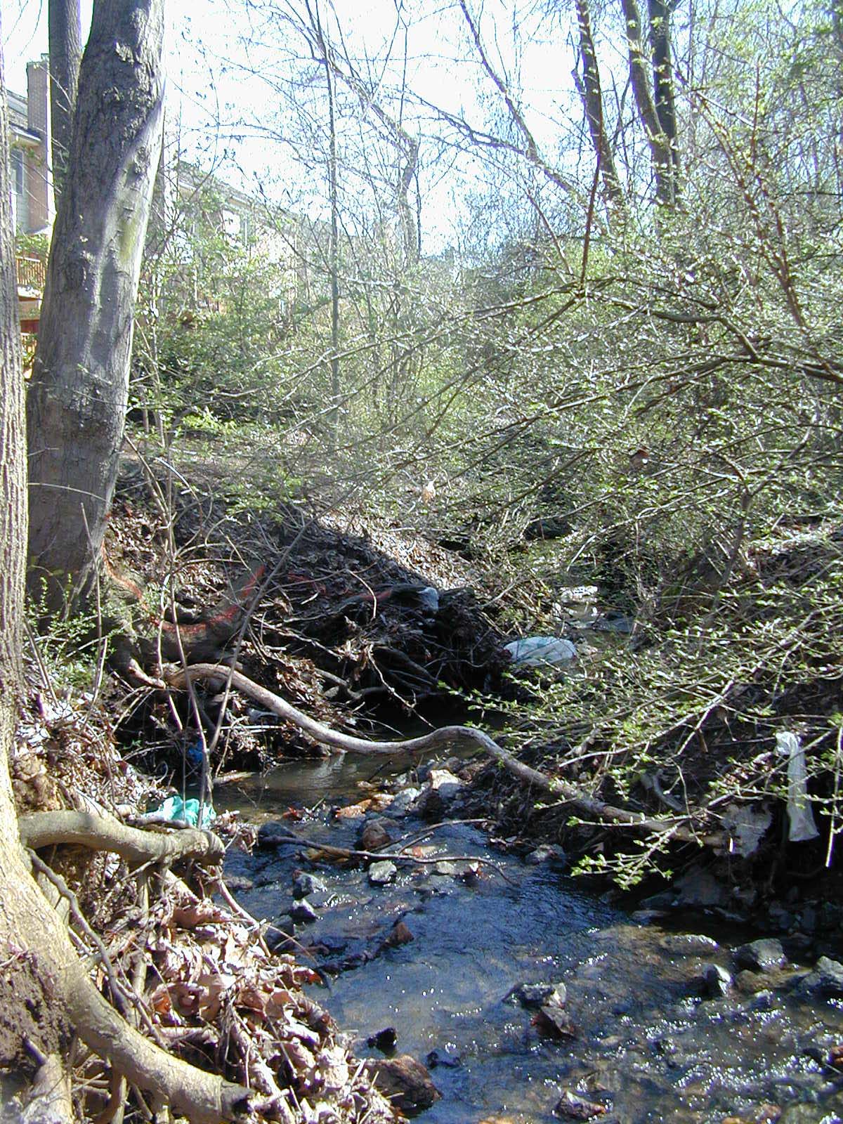 Field photo showing stream conditions at site ROCK-107-R-2003-772