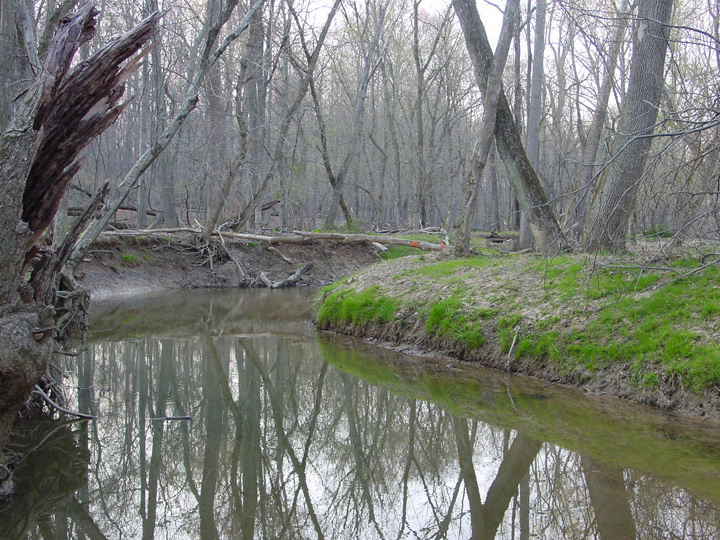 Field photo showing stream conditions at site ROCK-201-B-2007-1