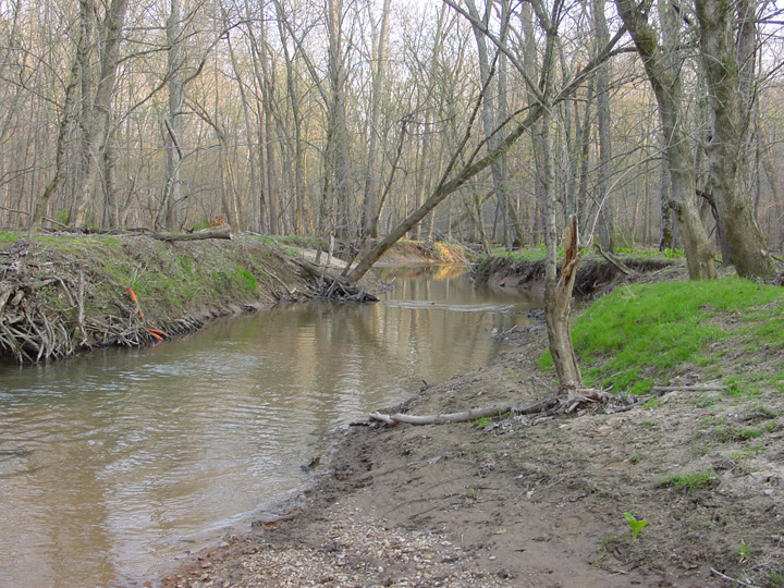 Field photo showing stream conditions at site ROCK-201-B-2007-2