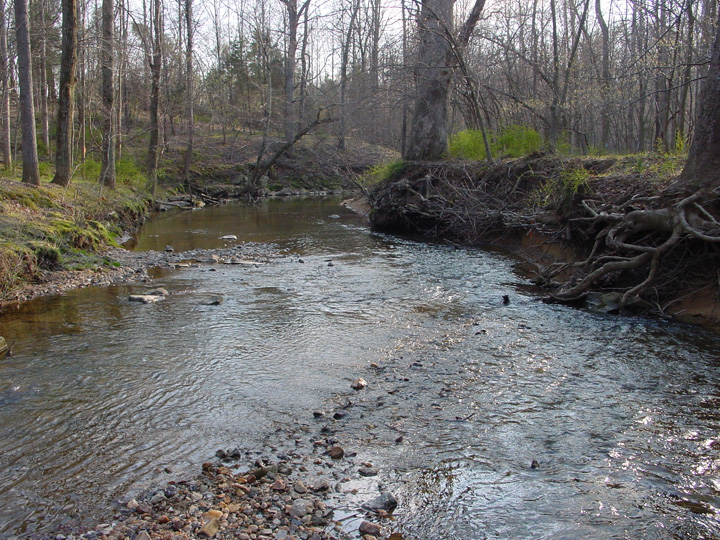 Field photo showing stream conditions at site ROCK-202-B-2007-2