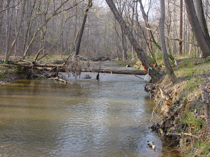 Field photo showing stream conditions at site ROCK-203-B-2007-1