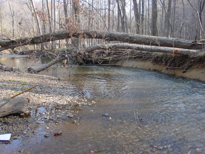 Field photo showing stream conditions at site ROCK-203-B-2007-2