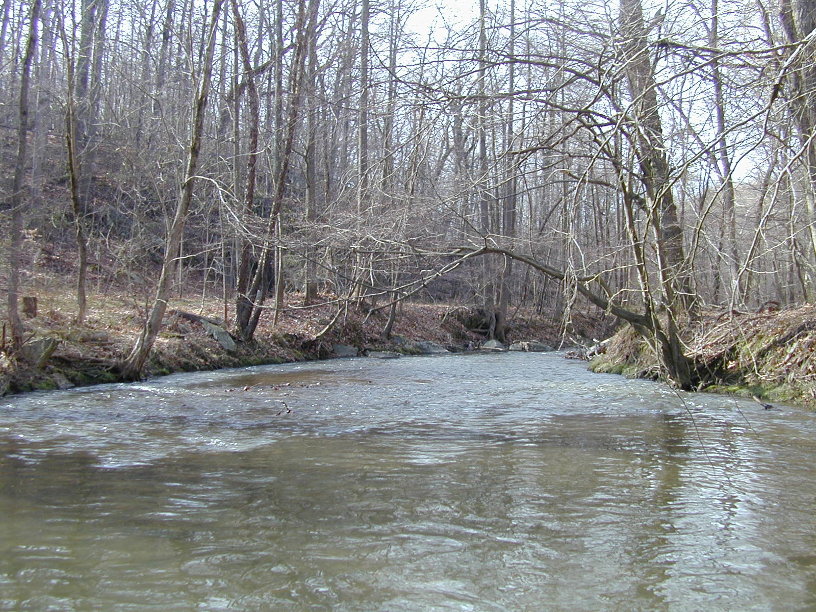 Field photo showing stream conditions at site ROCK-203-R-2003-745
