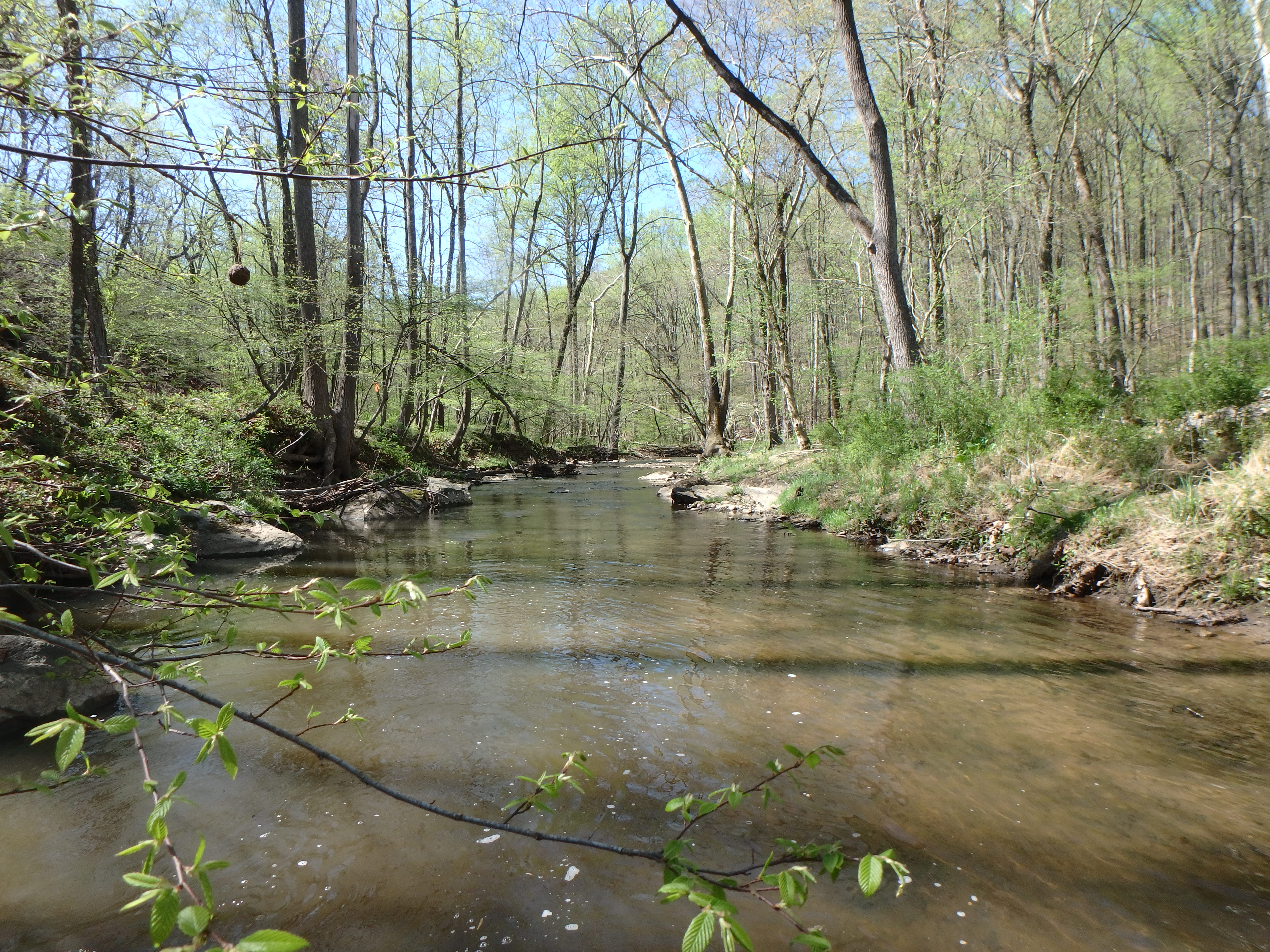 Field photo showing stream conditions at site ROCK-203-R-2017-MidpointLookingDownstream
