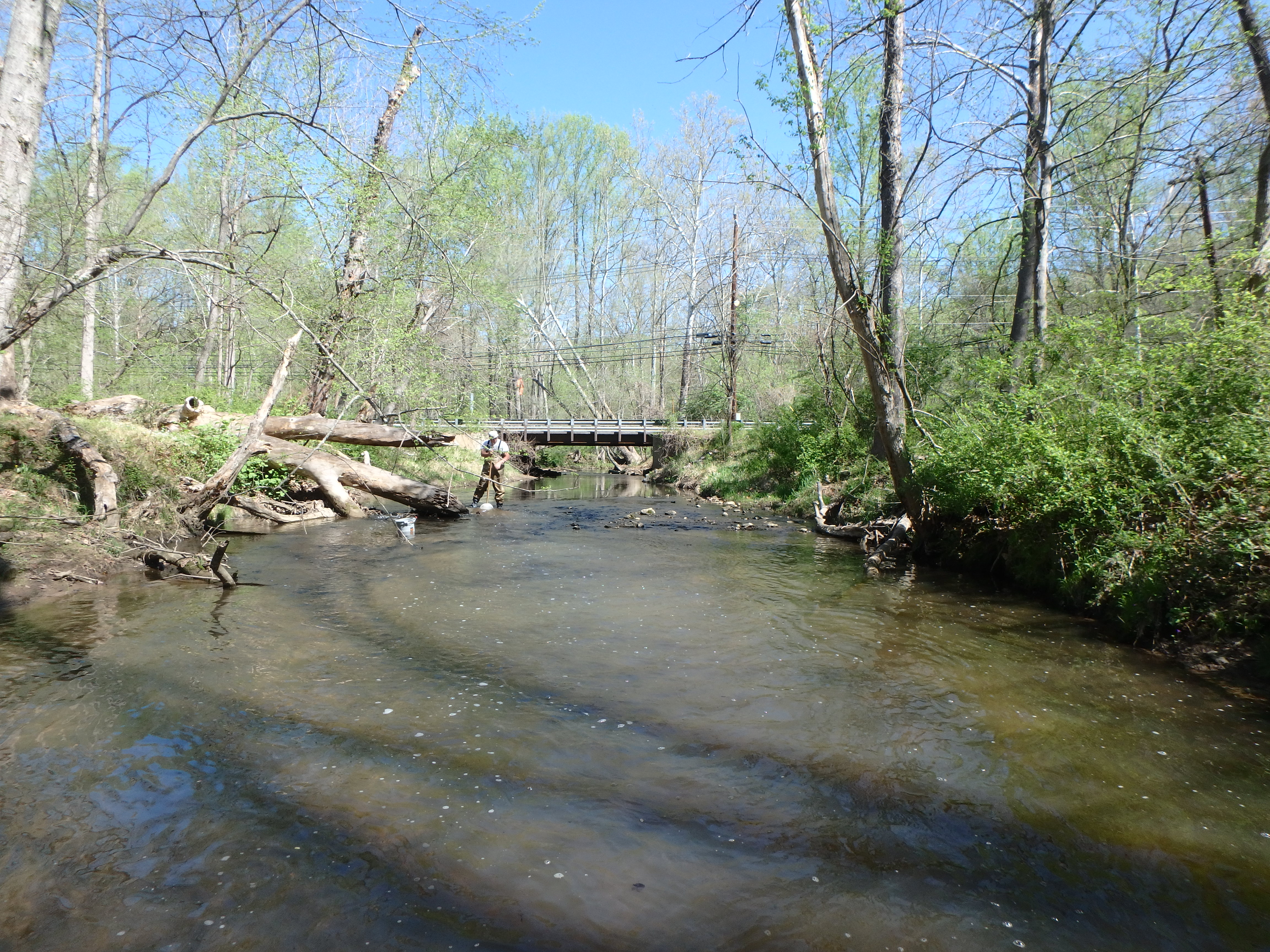 Field photo showing stream conditions at site ROCK-203-R-2017-MidpointLookingUpstream