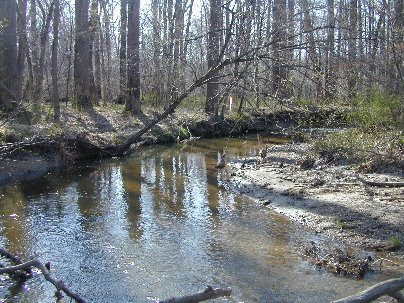 Field photo showing stream conditions at site ROCK-204-R-2003-762
