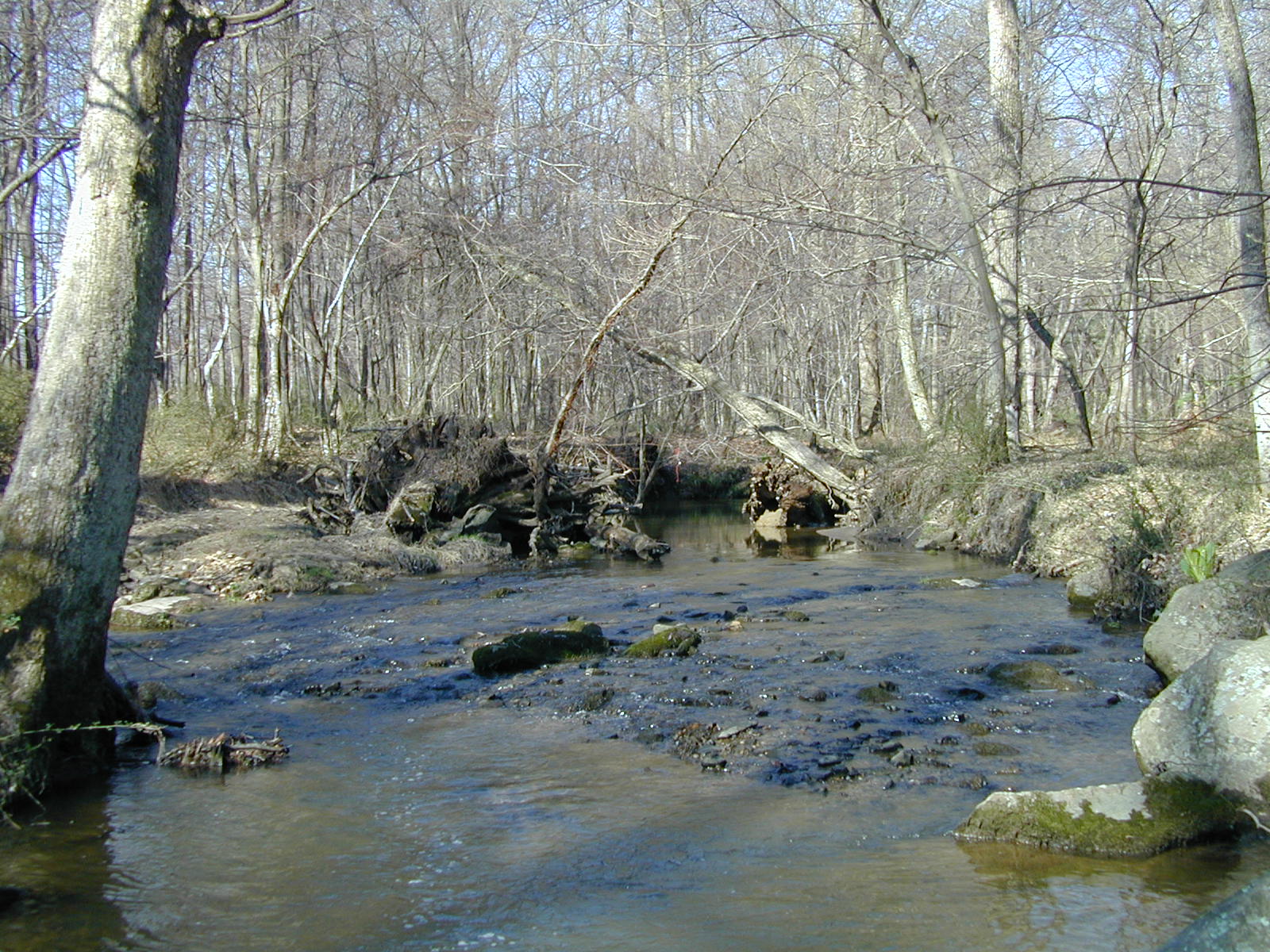 Field photo showing stream conditions at site ROCK-204-R-2003-763