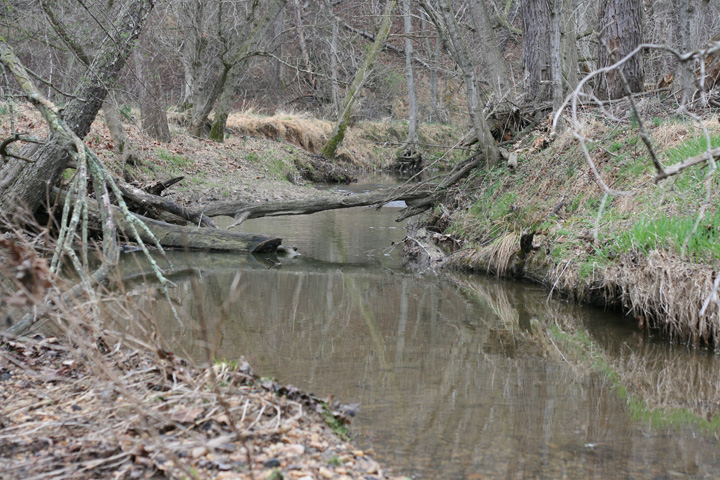 Field photo showing stream conditions at site ROCK-204-R-2009-2