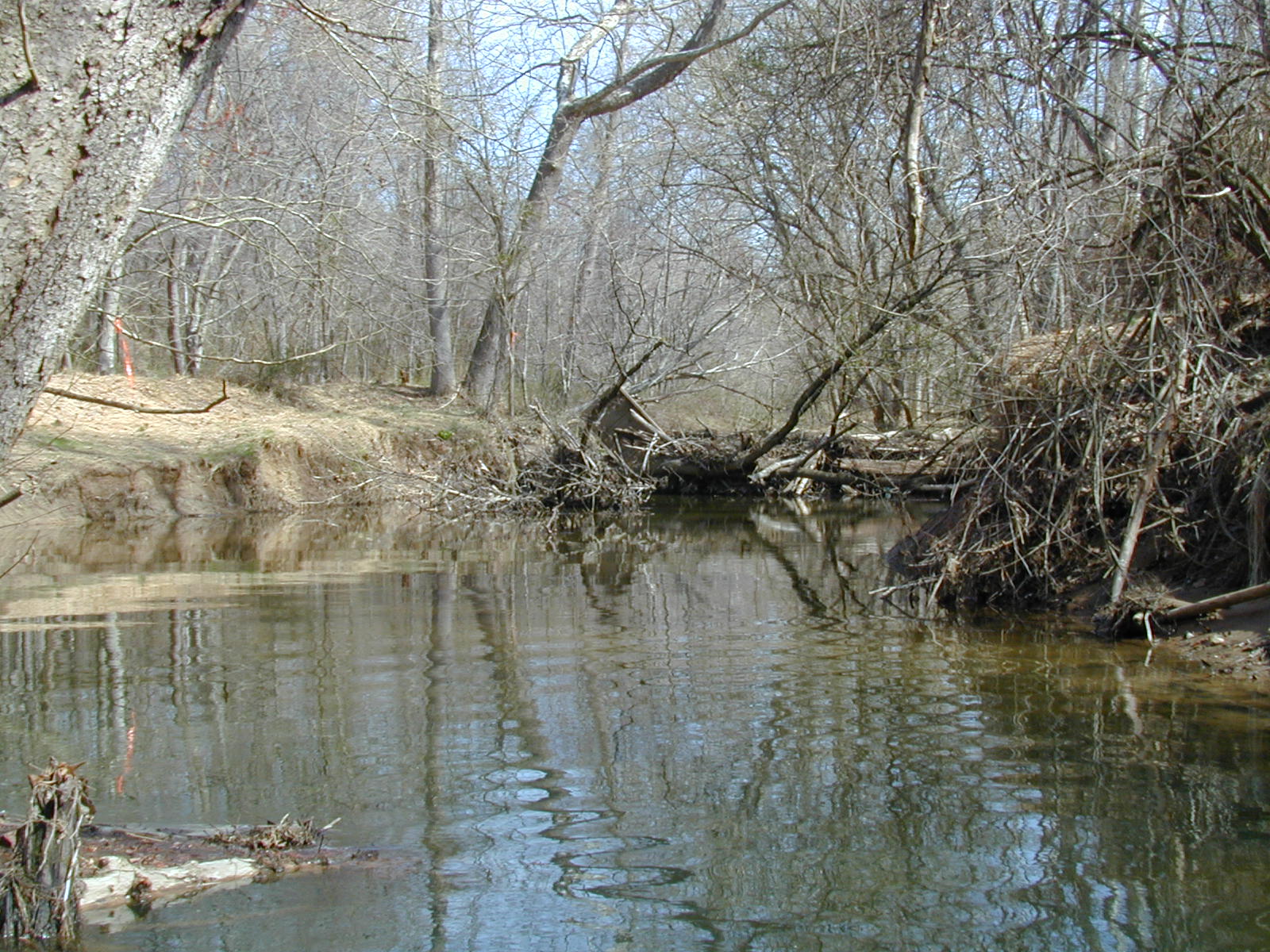 Field photo showing stream conditions at site ROCK-208-R-2003-748