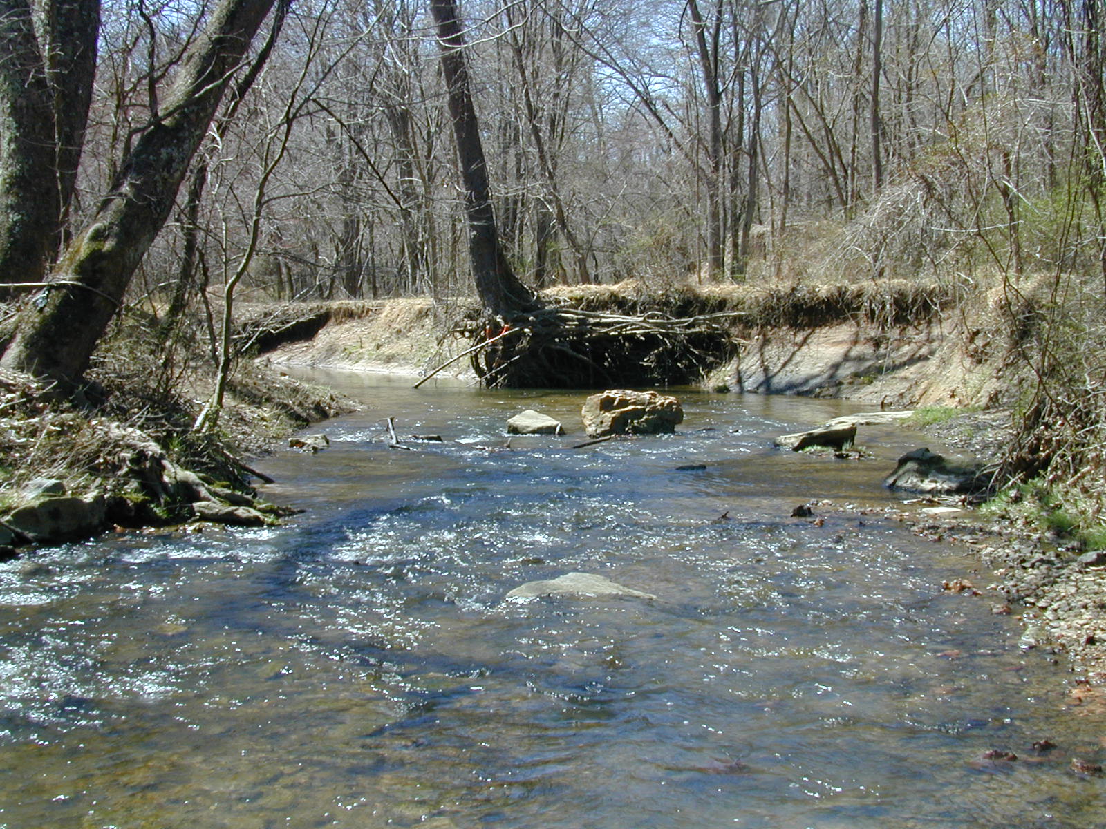Field photo showing stream conditions at site ROCK-210-R-2003-751