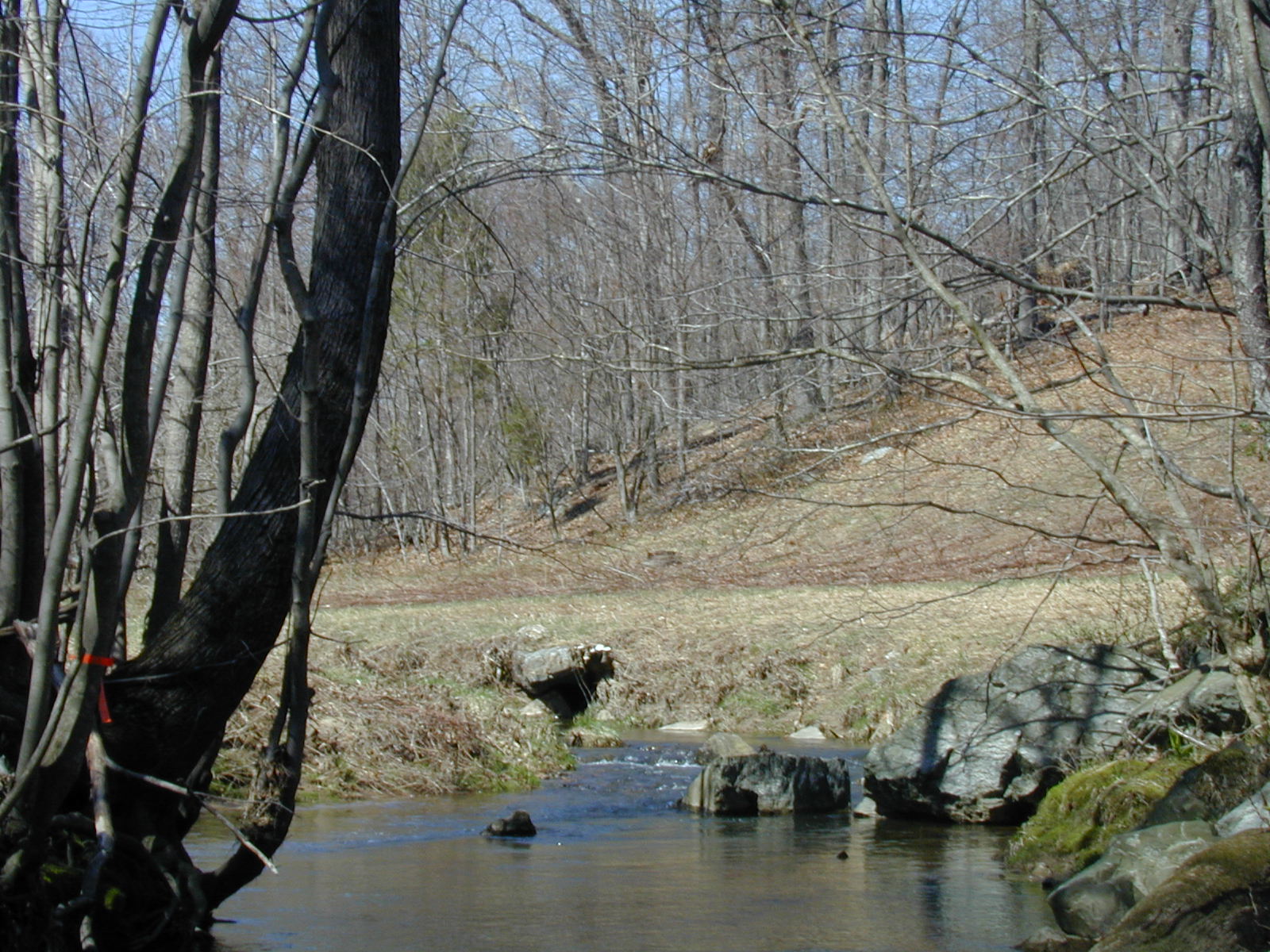 Field photo showing stream conditions at site ROCK-211-R-2003-753