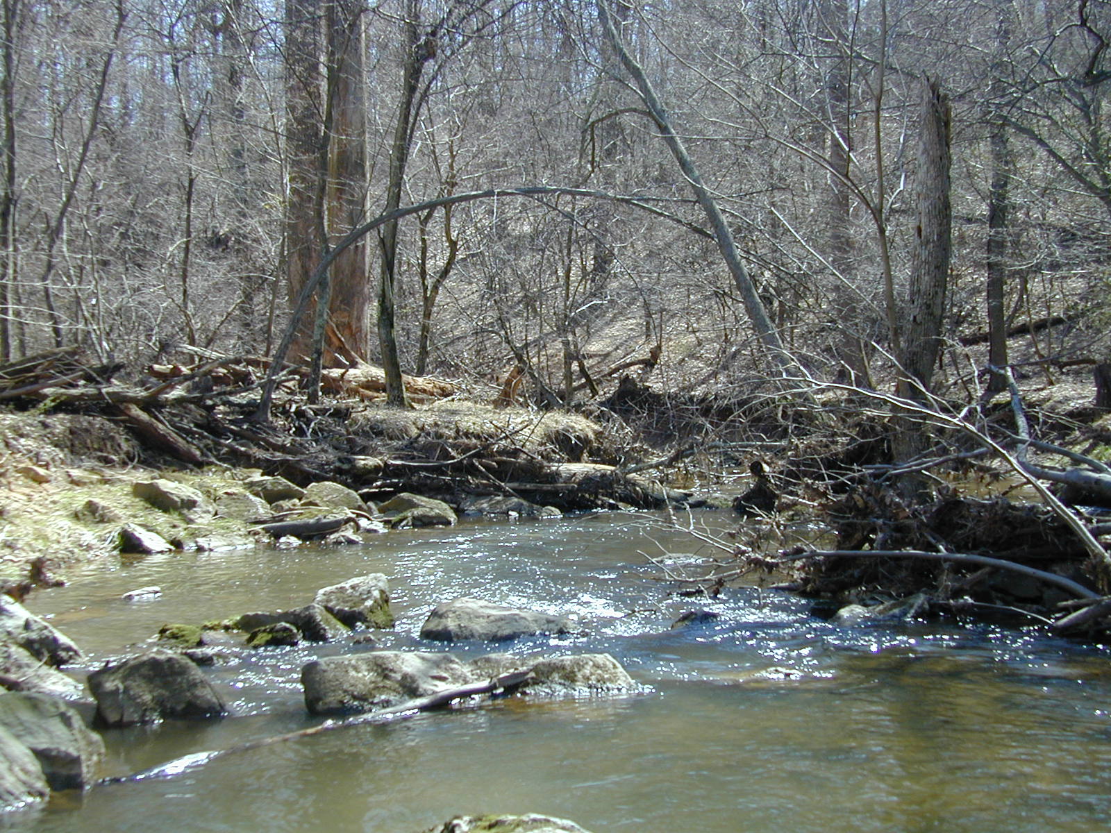 Field photo showing stream conditions at site ROCK-211-R-2003-754