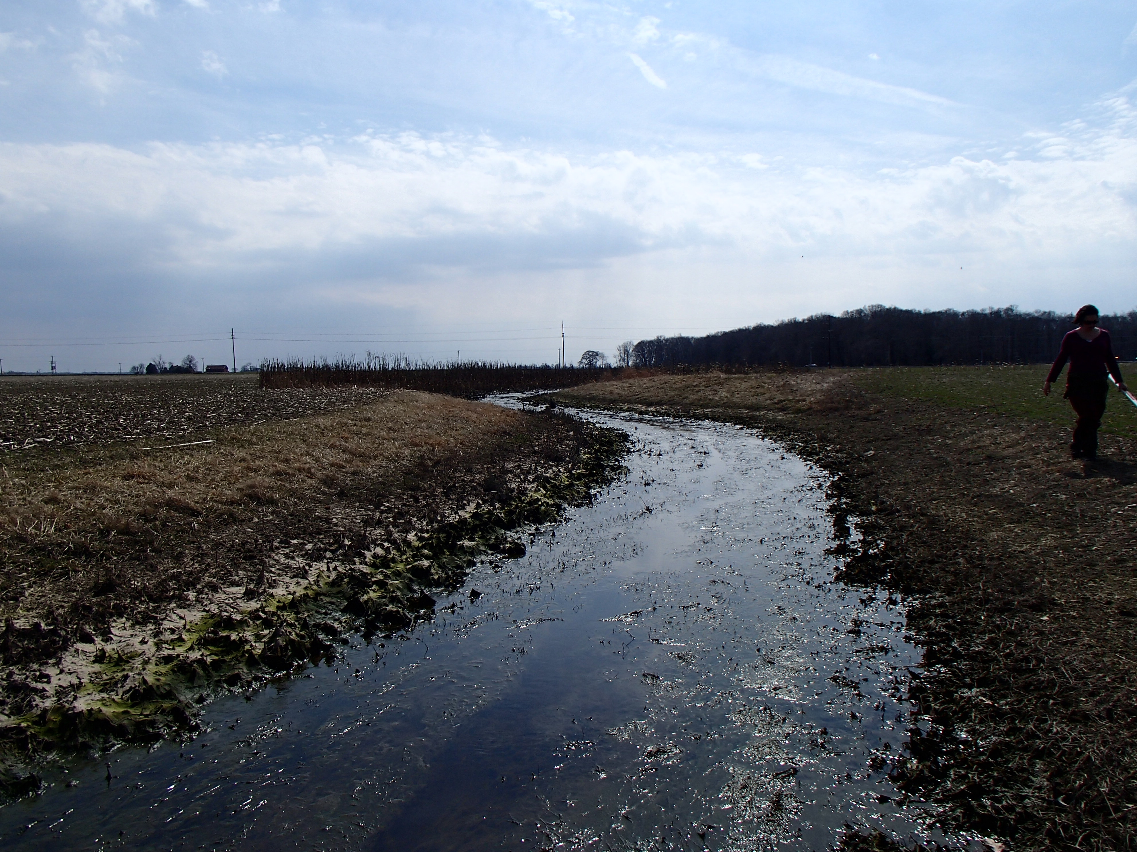 Field photo showing stream conditions at site SASS-102-R-2015_Midpoint-looking-downstream