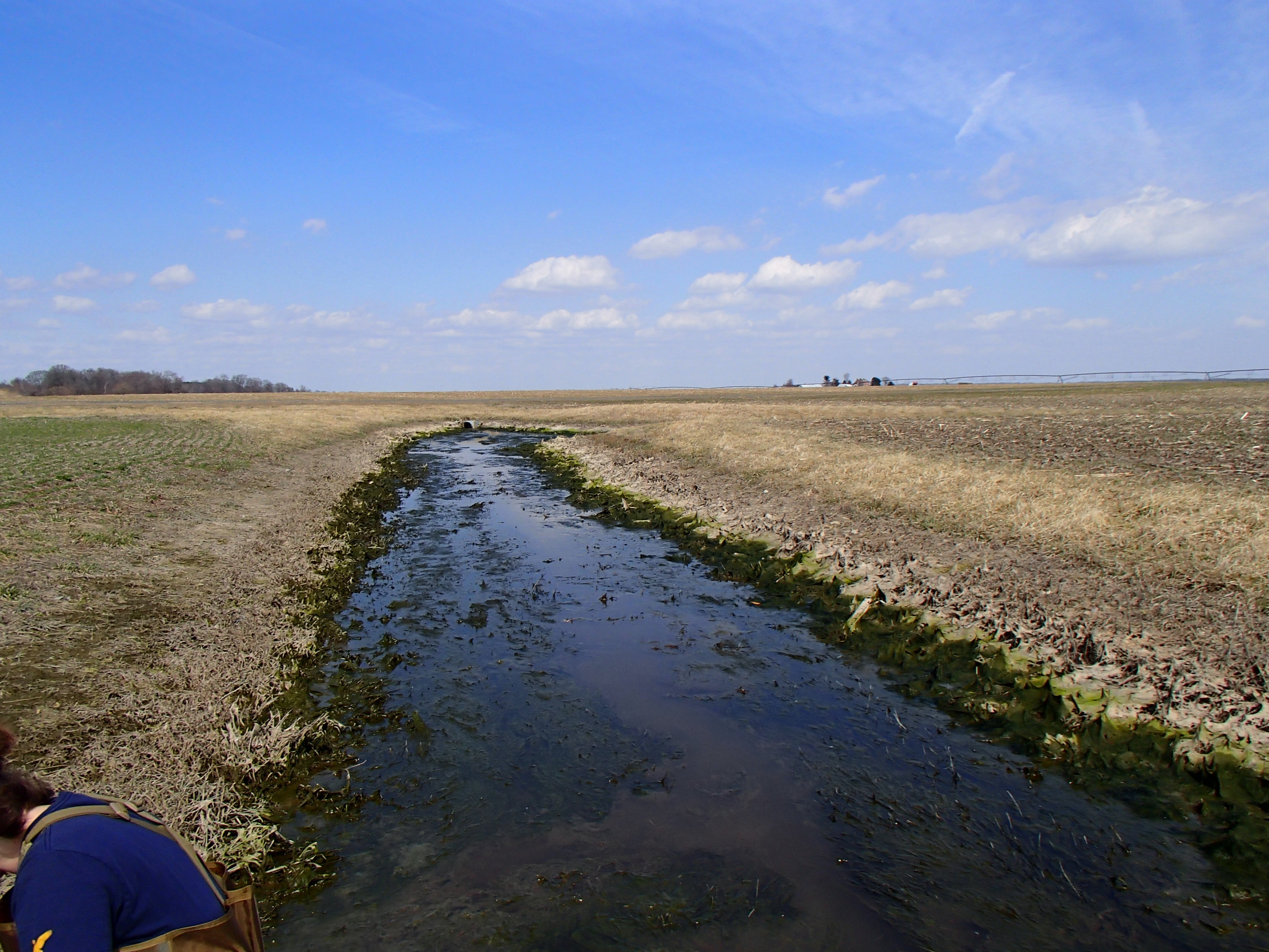 Field photo showing stream conditions at site SASS-102-R-2015_Midpoint-looking-upstream