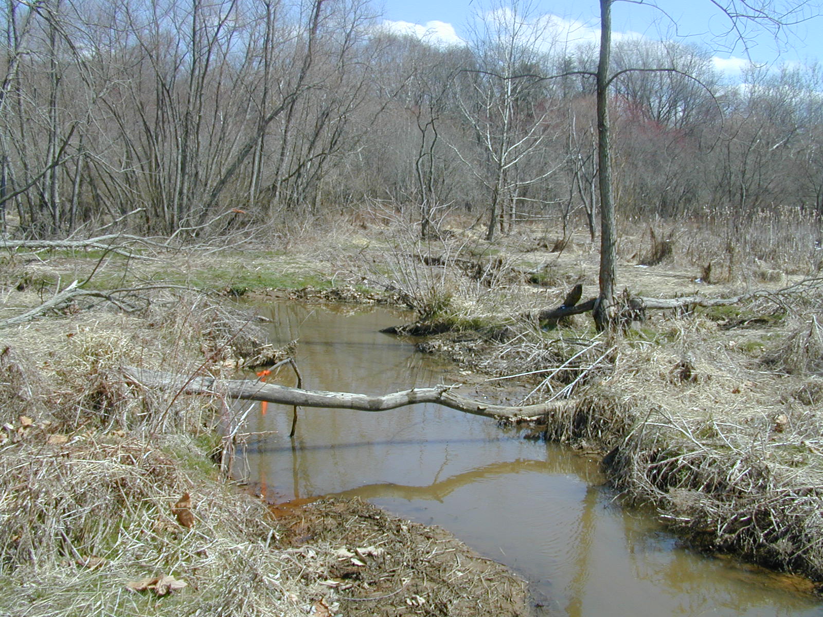 Field photo showing stream conditions at site SASS-104-R-2001-1