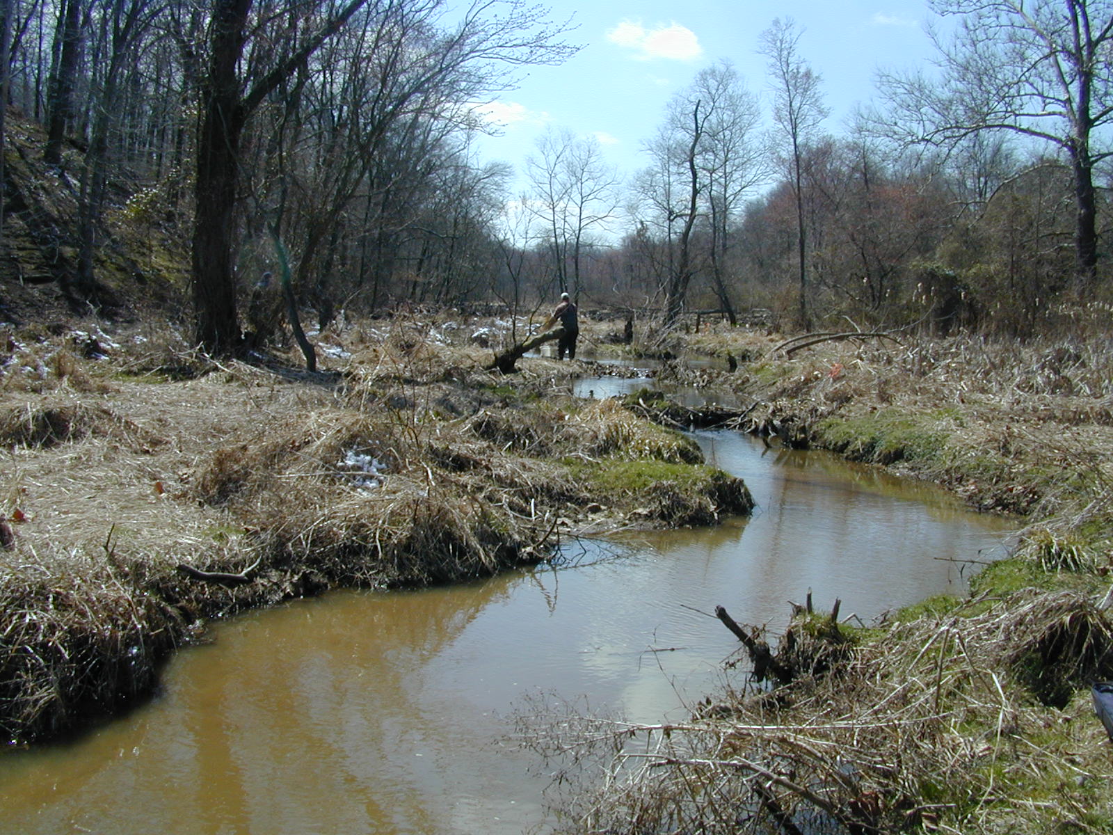 Field photo showing stream conditions at site SASS-104-R-2001-2