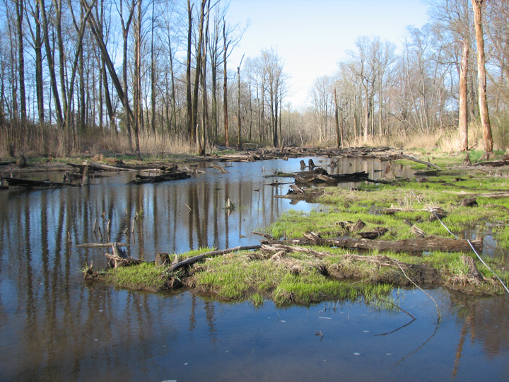 Field photo showing stream conditions at site SASS-105-R-2007-2