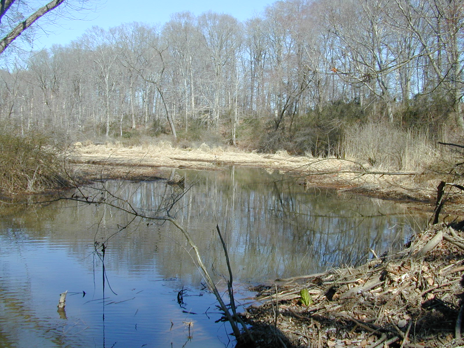 Field photo showing stream conditions at site SASS-120-R-2001-1