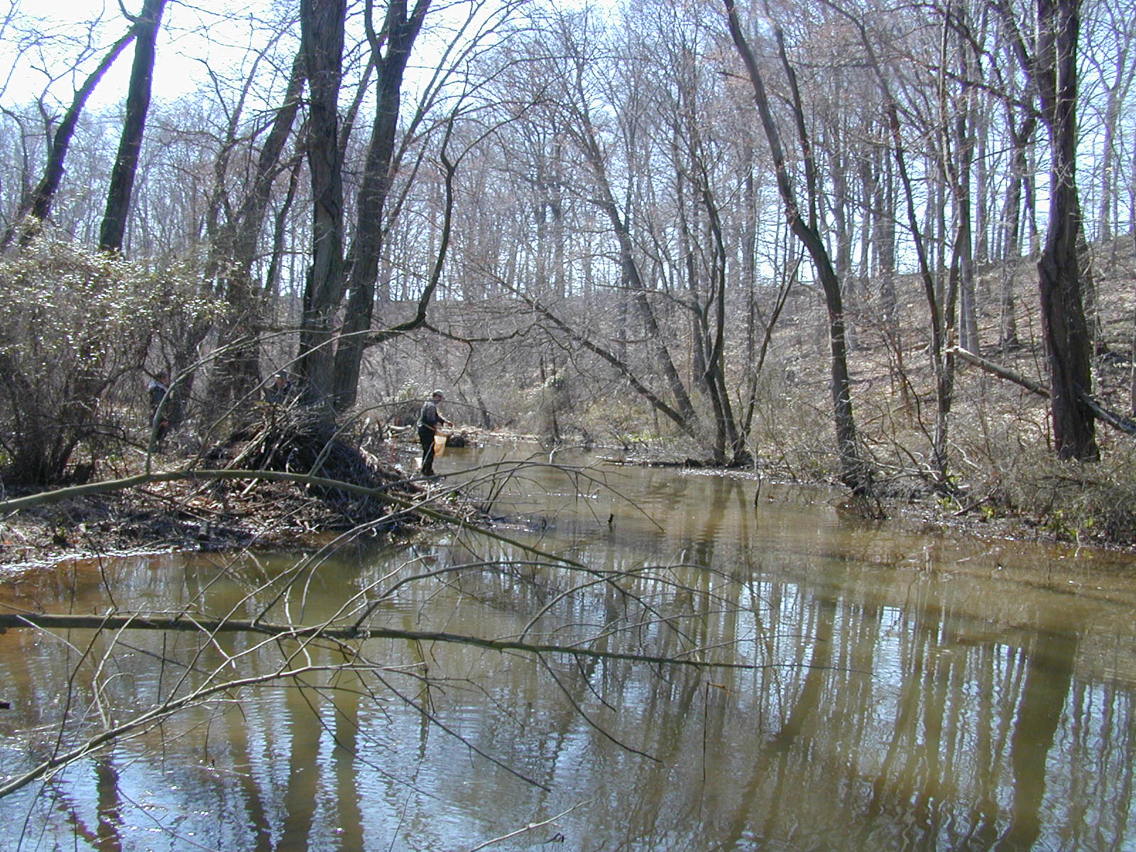 Field photo showing stream conditions at site SASS-120-R-2001-2