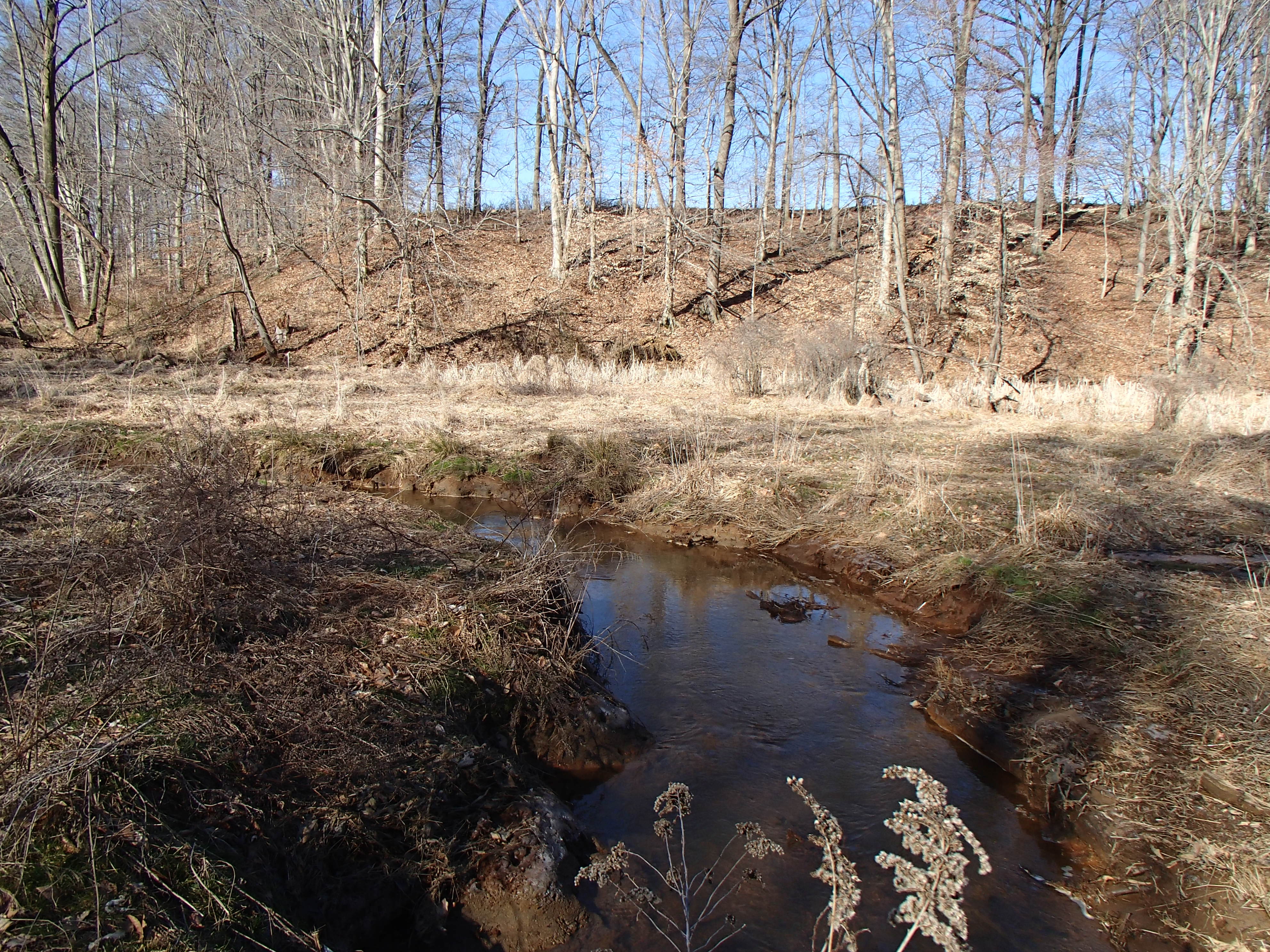 Field photo showing stream conditions at site SASS-120-R-2015_Midpoint-downstream