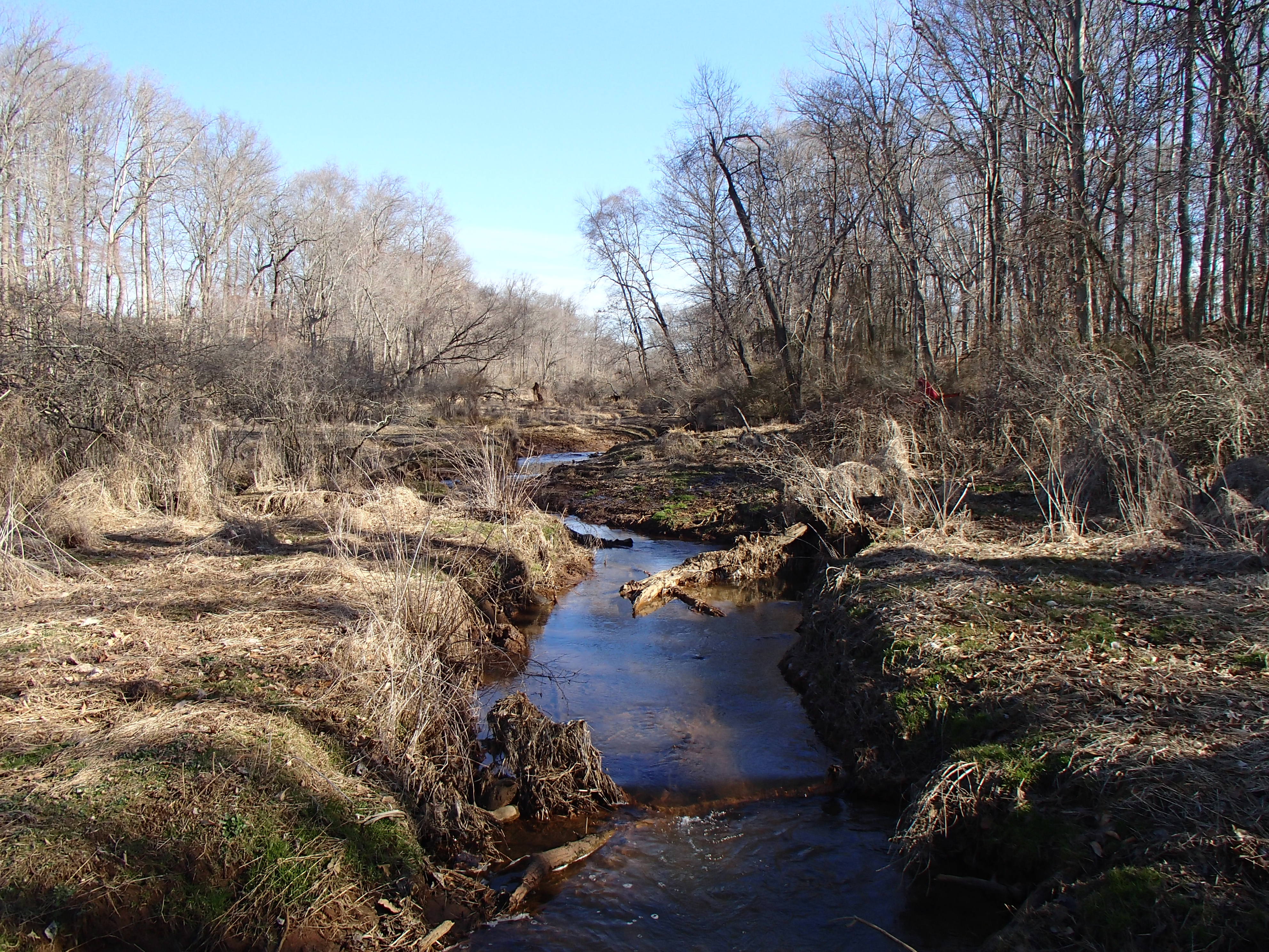 Field photo showing stream conditions at site SASS-120-R-2015_Midpoint-upstream