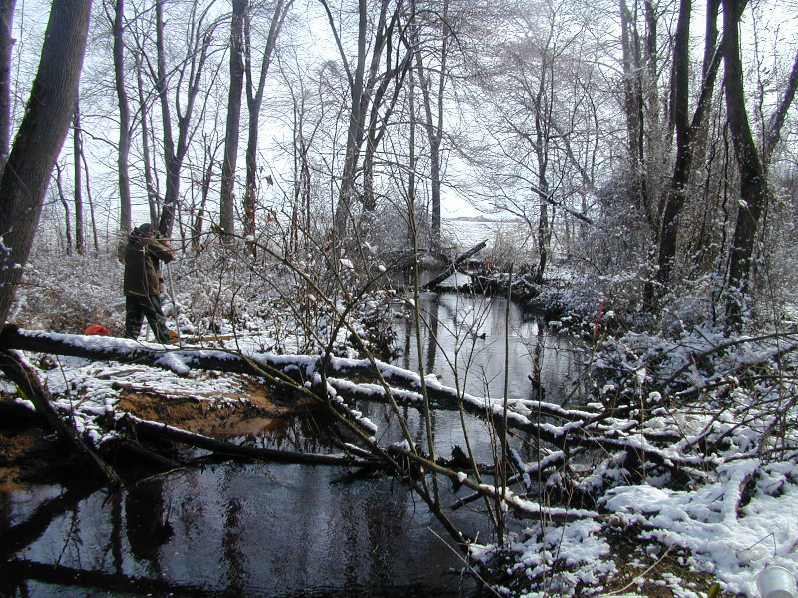 Field photo showing stream conditions at site SASS-205-R-2001-1