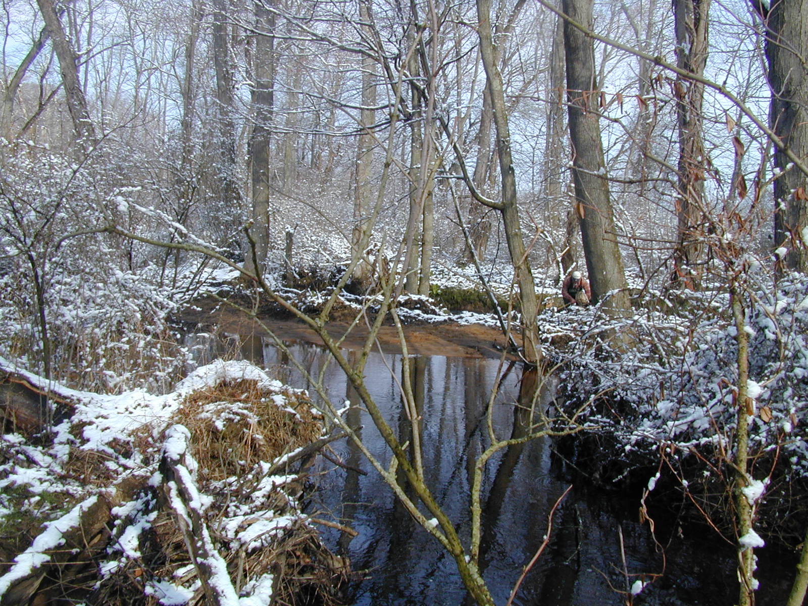 Field photo showing stream conditions at site SASS-205-R-2001-2
