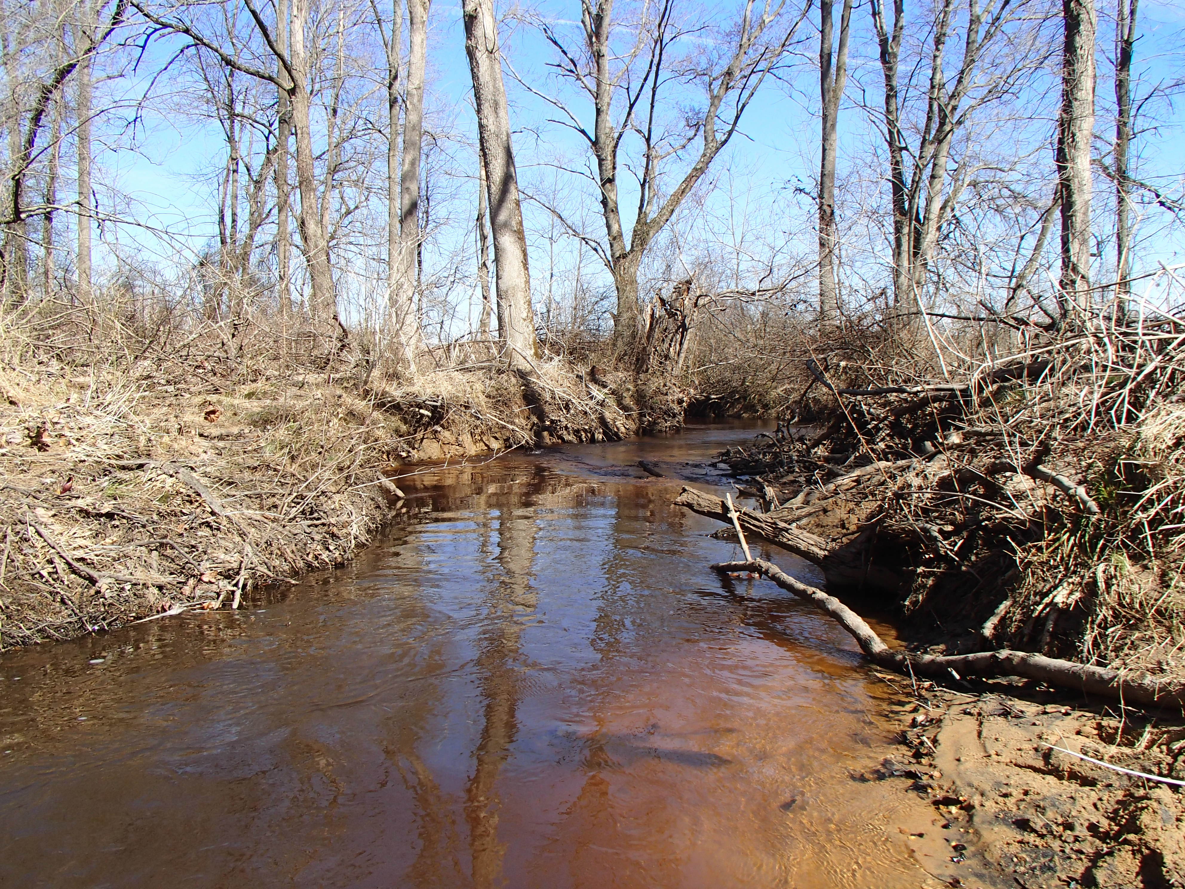 Field photo showing stream conditions at site SASS-205-R-2015_Midpoint-downstream