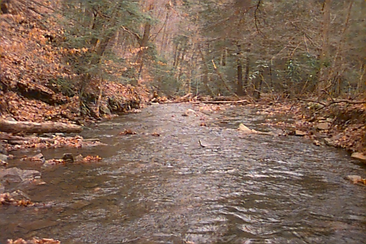 Field photo showing stream conditions at site SAVA-101-C-2000-02